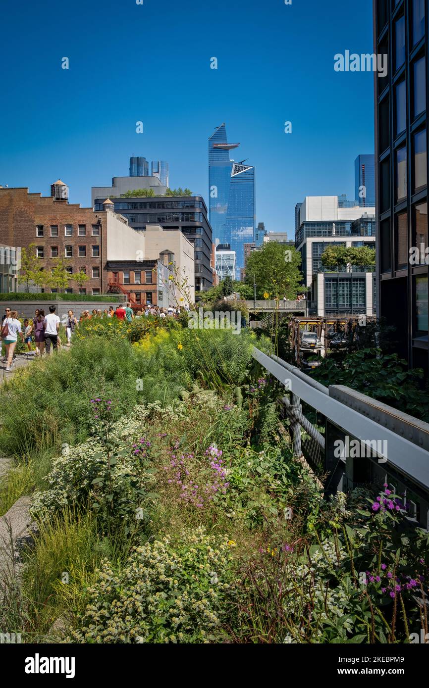Vue sur New York depuis le Highline avec plantes et ciel bleu Banque D'Images