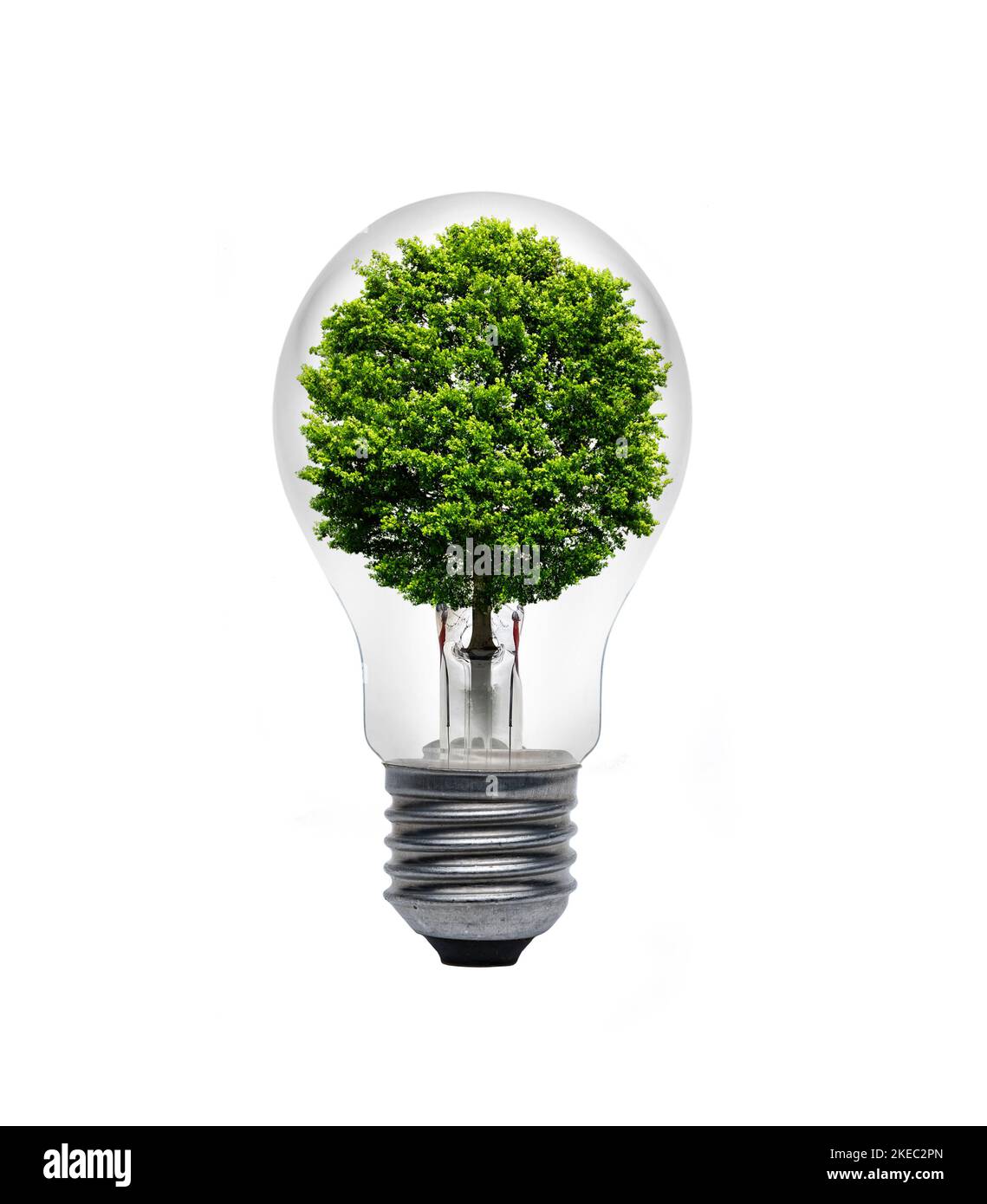 Ampoule avec un arbre vert Banque D'Images