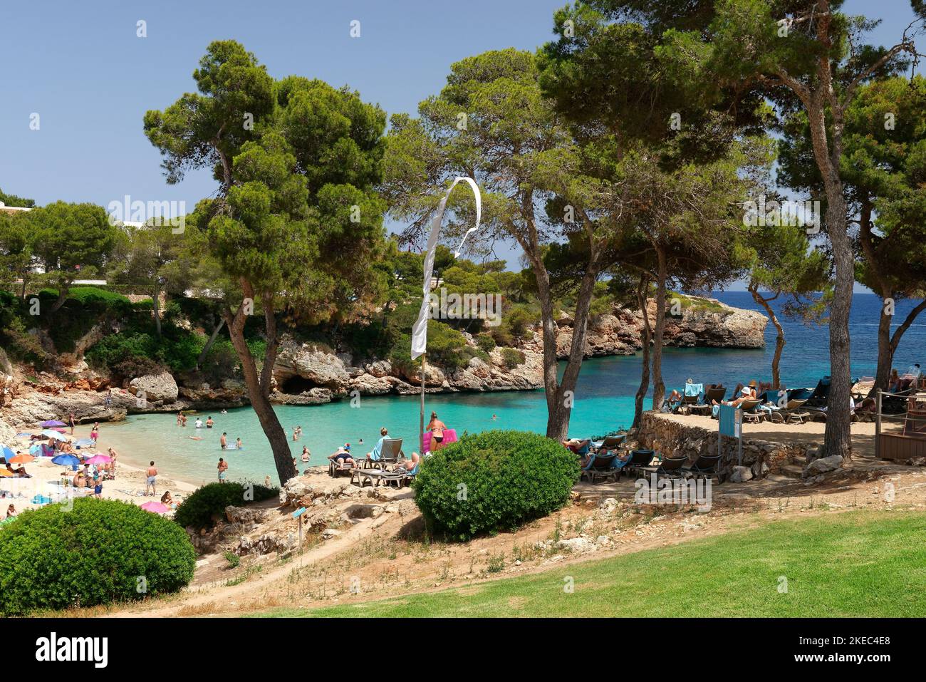 Vue sur la baie et la plage Cala Esmeralda, Cala d'Or, Majorque, Iles Baléares, Mer méditerranée, Espagne Banque D'Images