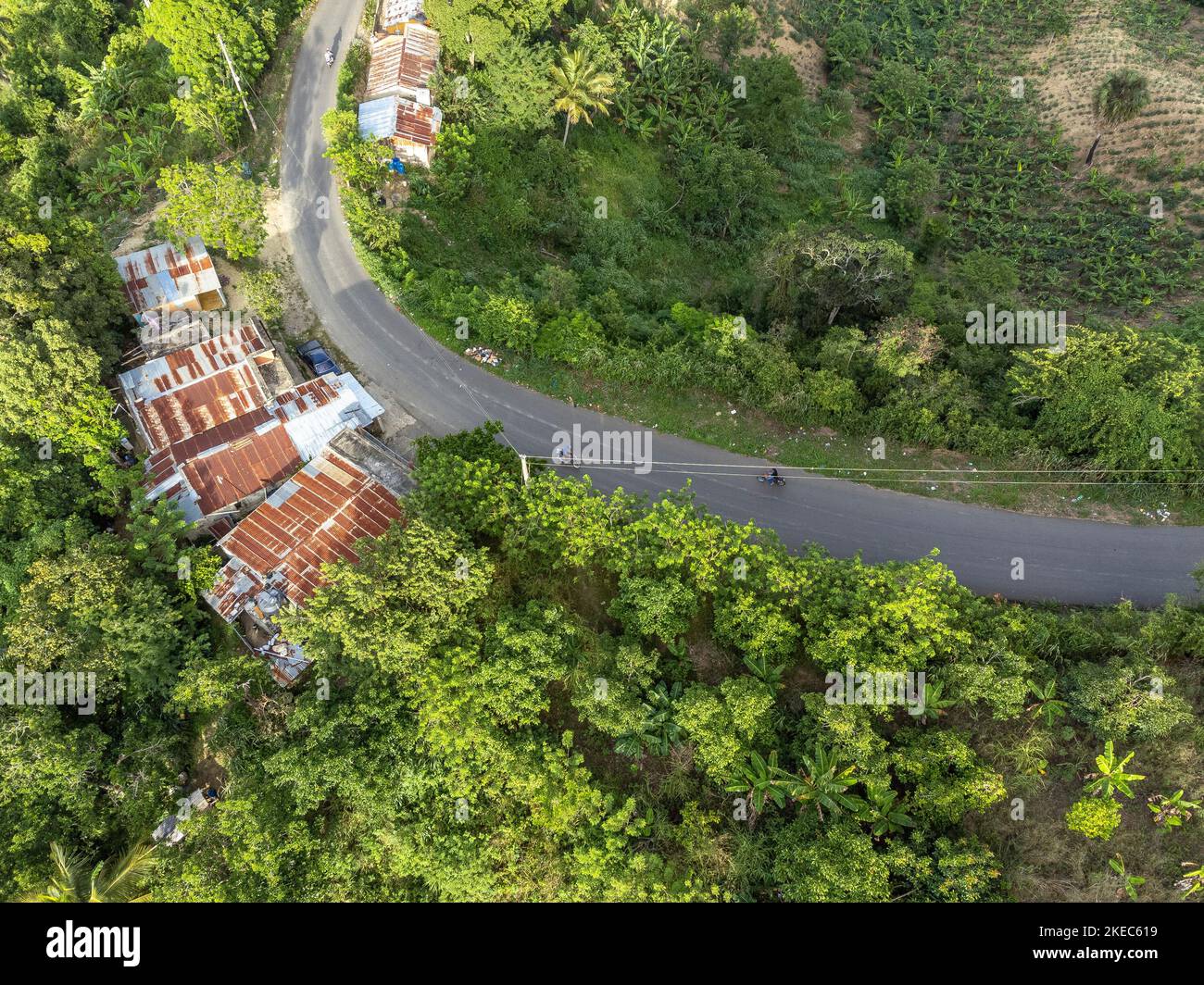 Amérique du Nord, Caraïbes, Grande Antilles, Île d'Hispaniola, République dominicaine, Province de Santiago, route de campagne près de Baitoa Banque D'Images