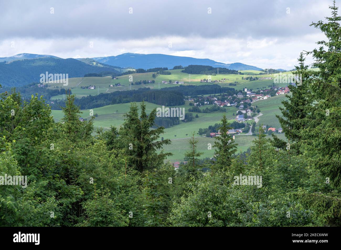 Europe, Allemagne, Allemagne du Sud, Bade-Wurtemberg, Forêt Noire, Vue sur un paysage typique de la Forêt-Noire près de Breitnau Banque D'Images