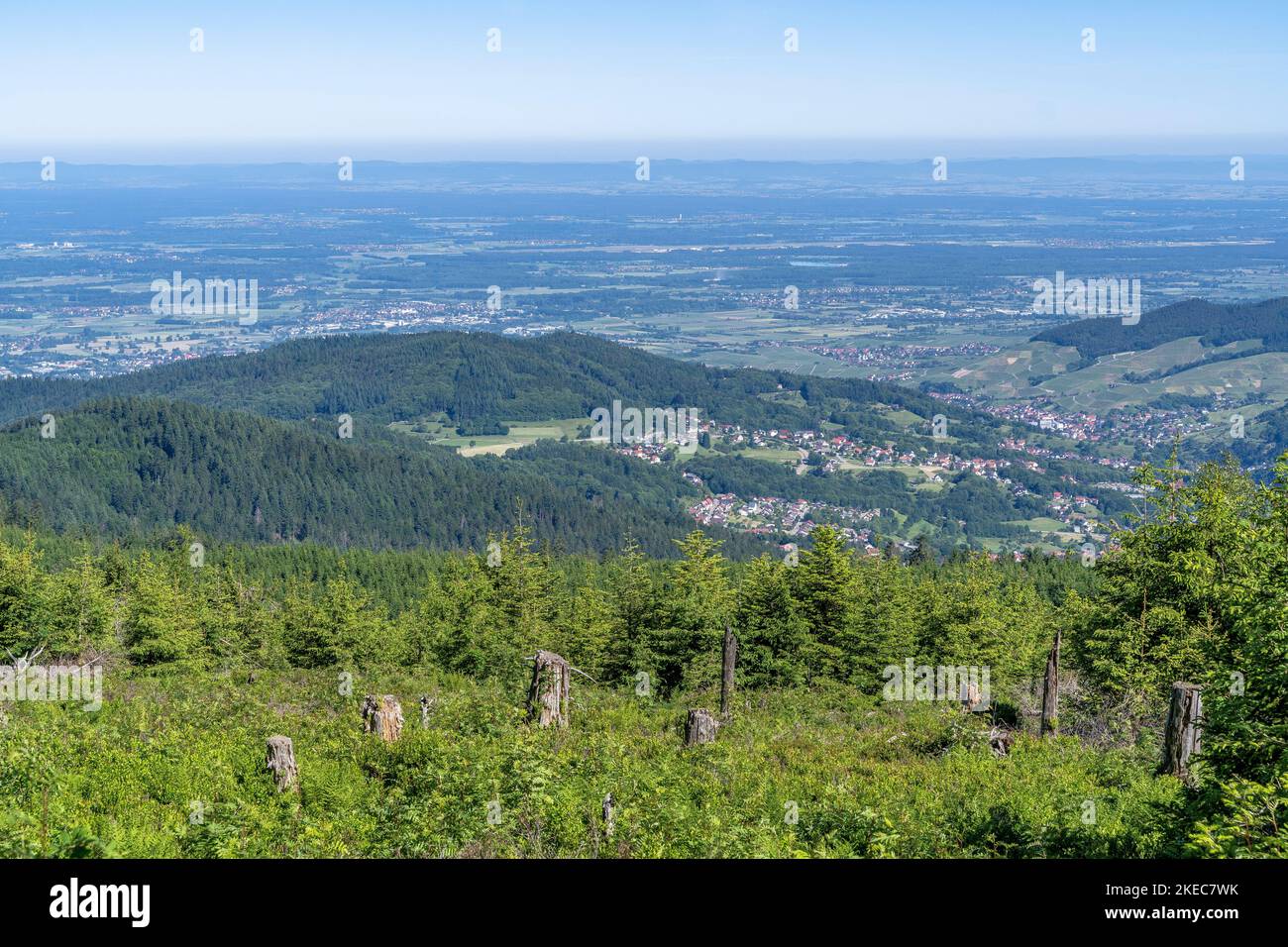 Europe, Allemagne, Sud de l'Allemagne, Bade-Wurtemberg, Forêt Noire, Vue sur la plaine du Rhin supérieur Banque D'Images