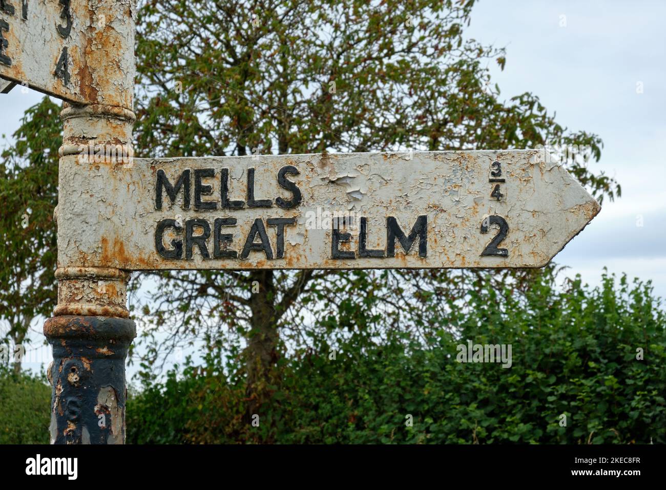 Panneau pour les coquillages et le Grand Elm Banque D'Images
