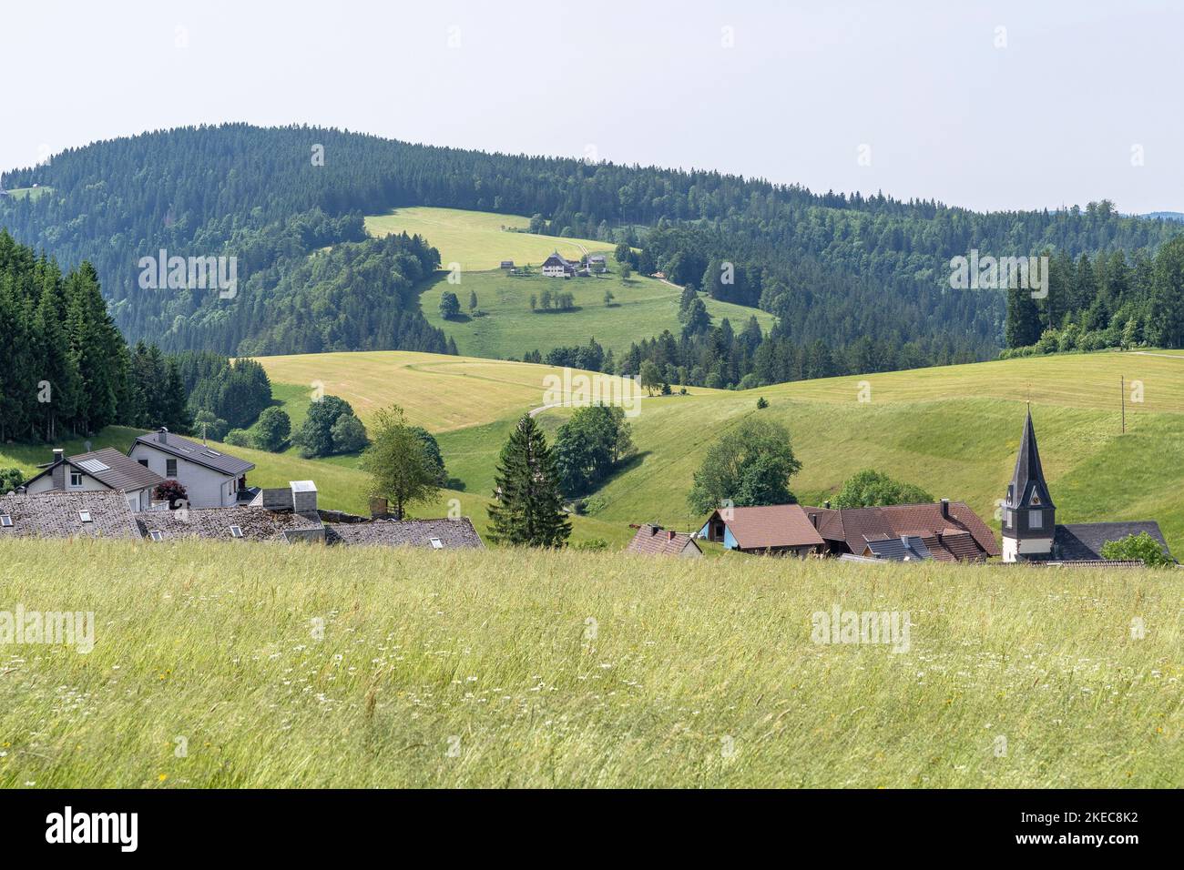 Europe, Allemagne, Sud de l'Allemagne, Bade-Wurtemberg, Forêt Noire, Vue sur le paysage typique de la Forêt-Noire juste avant Neukirch Banque D'Images