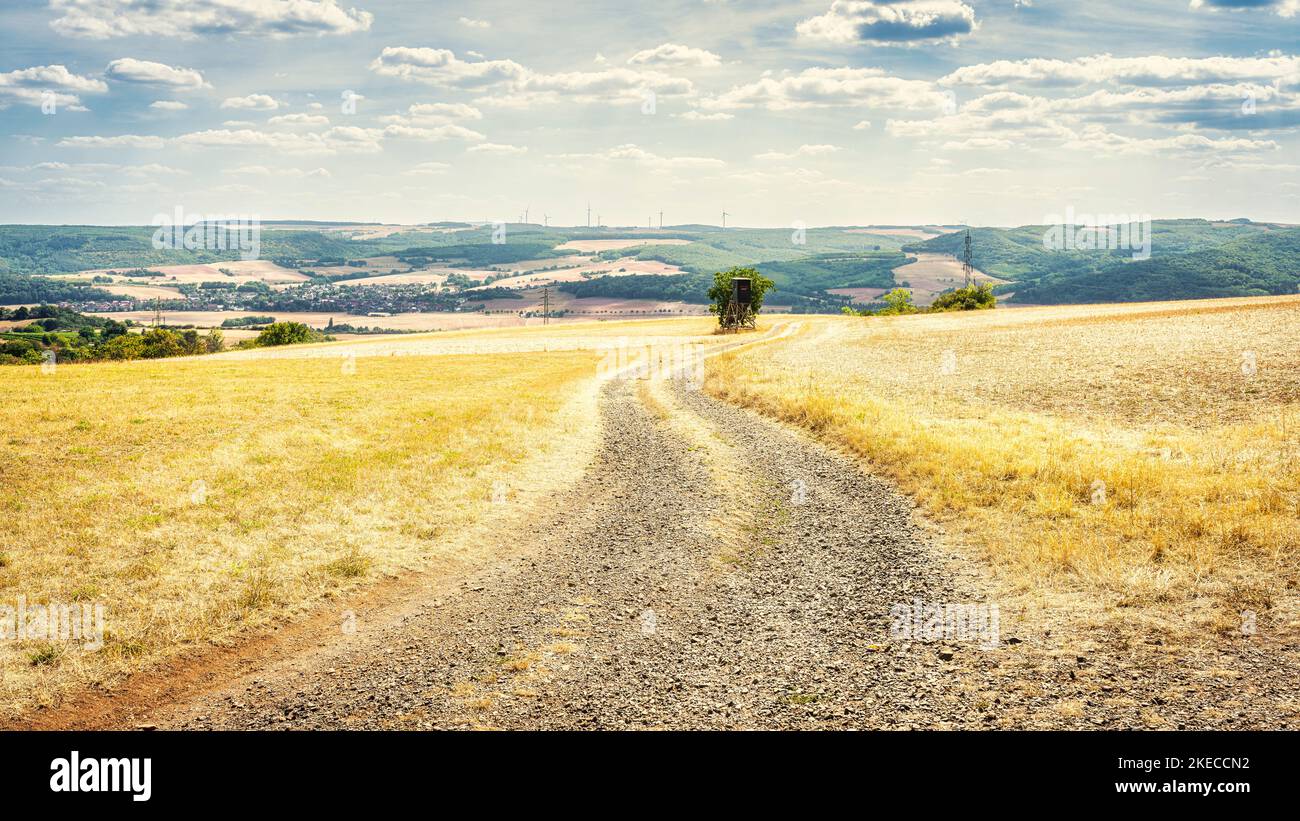 route de terre sinueuse avec siège haut, entourée de champs récoltés en plein été, lumière douce, air chatoyant Banque D'Images