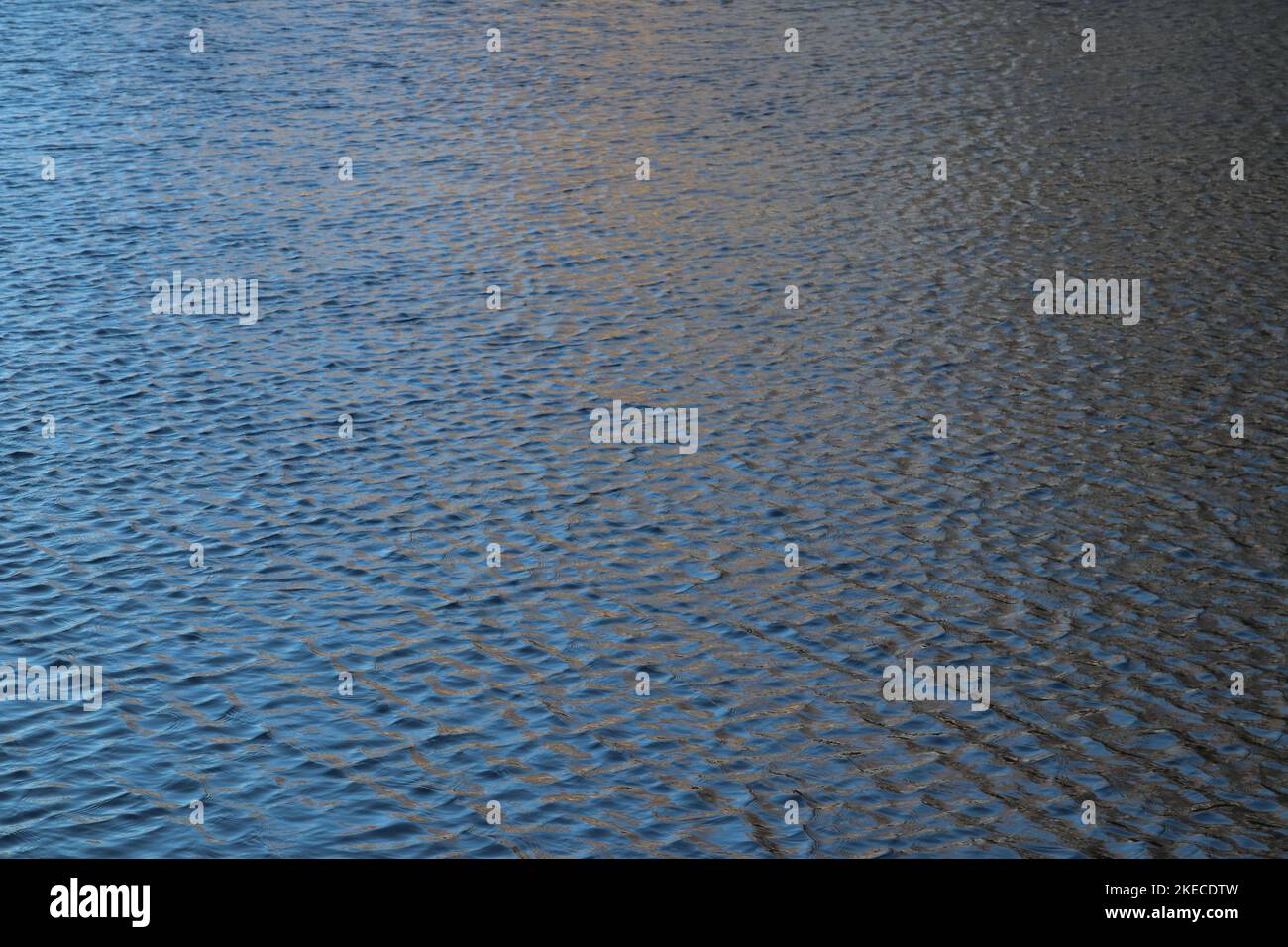 L'eau rippante à la surface d'un lac Banque D'Images