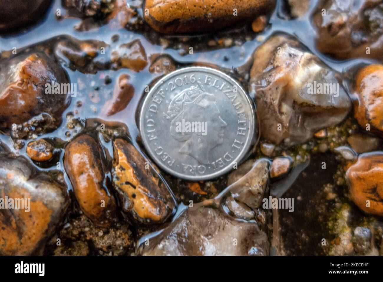 Brighton, 4 novembre 2022: Une petite pièce portant le visage de la reine Élisabeth II sur le sol pendant une descente Banque D'Images