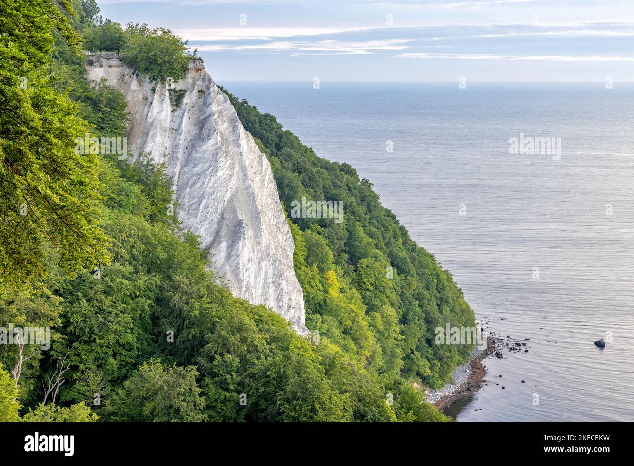 La célèbre falaise de craie à la Königsstuhl dans le parc national de Jasmund sur l'île de Rügen Banque D'Images