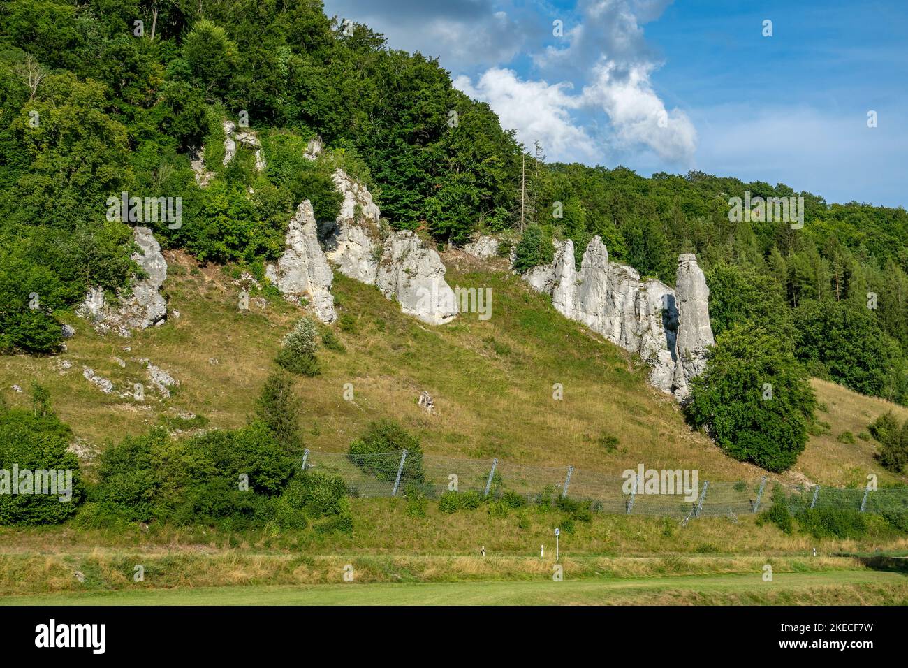 Groupe de roches 'Spitziger Stein' dans la vallée de la Grande Lauter dans l'Alb. Souabe Banque D'Images