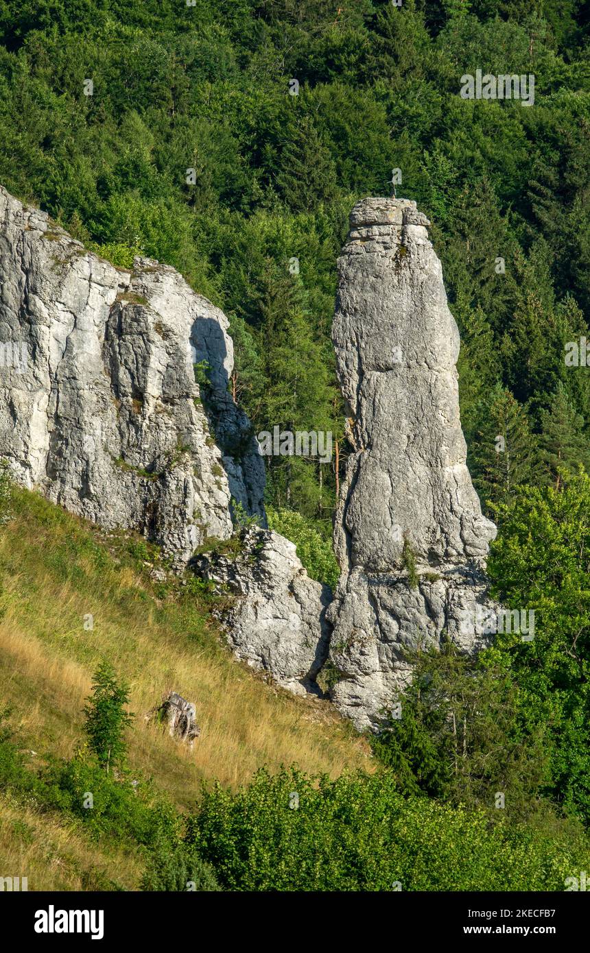 Groupe de roches 'Spitziger Stein' dans la vallée de la Grande Lauter dans l'Alb. Souabe Banque D'Images