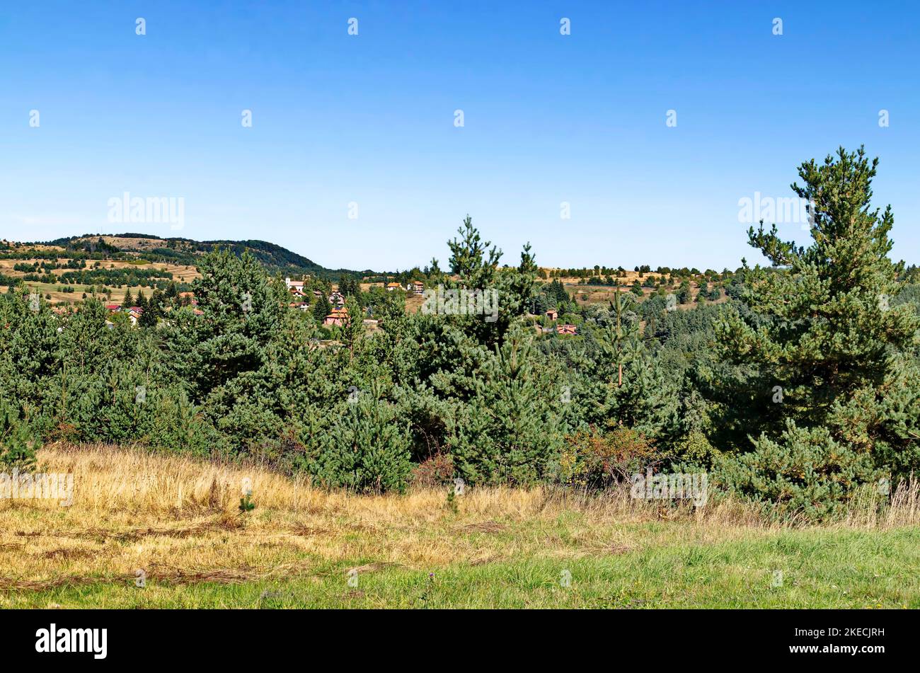 Scène avec pré d'automne, forêt et quartier résidentiel du village bulgare de Plana dans la montagne de Plana , Bulgarie Banque D'Images