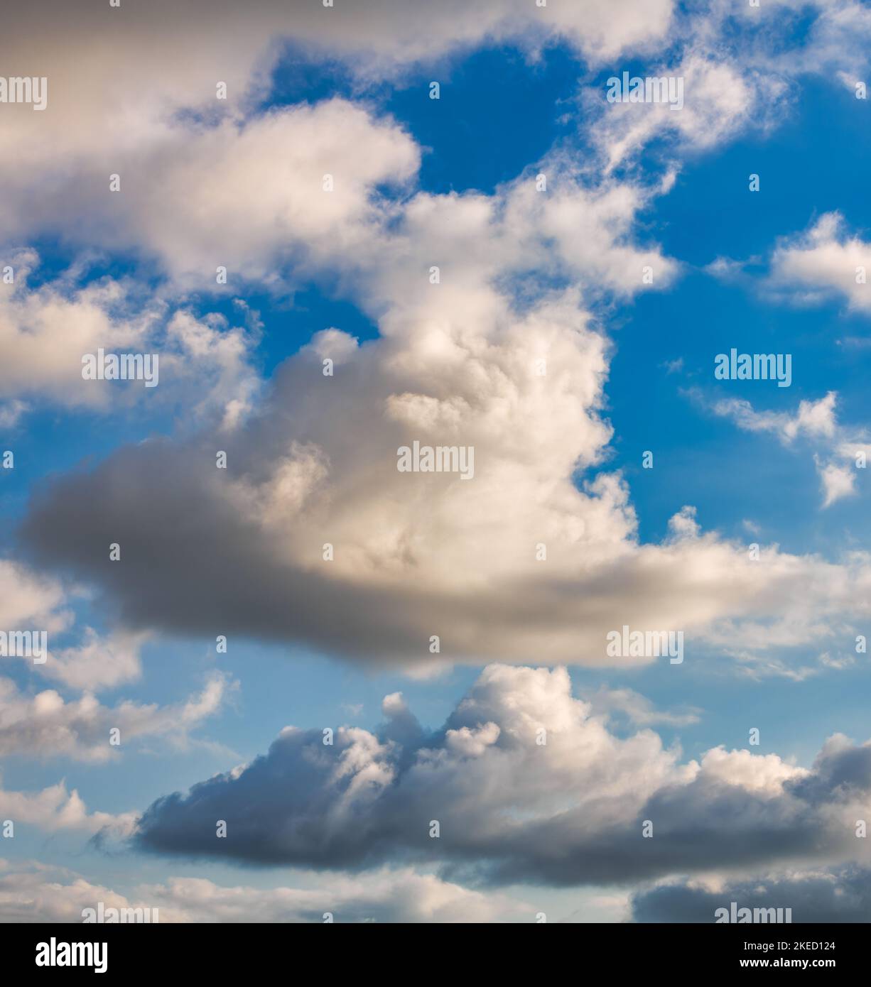 Une image détaillée de Cumulus blancs Fluffy Clouds contre Un ciel bleu de jour en format vertical d'image Banque D'Images