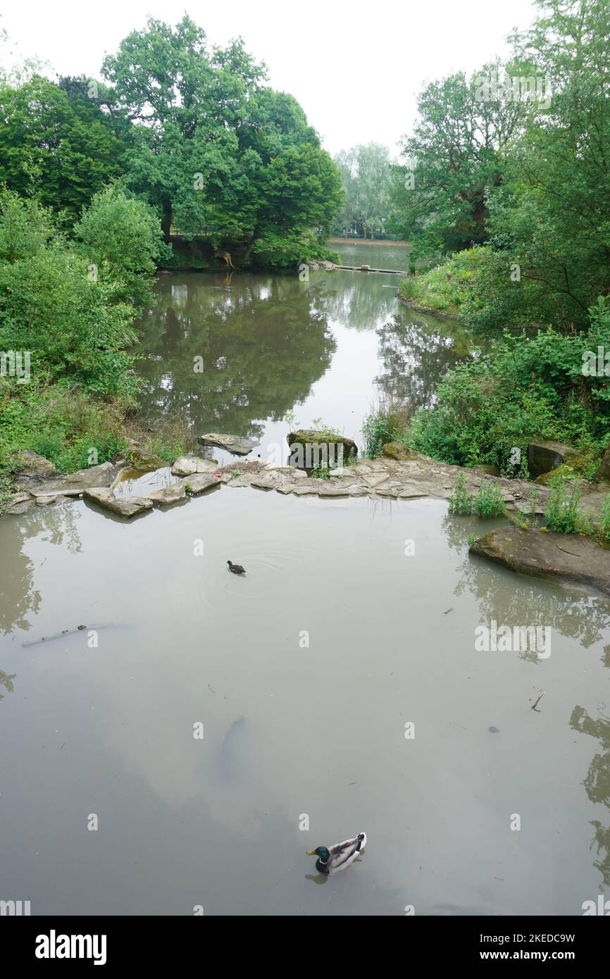 Sections de la rivière EFFRA au Crystal Palace à Londres, Angleterre, Royaume-Uni Banque D'Images