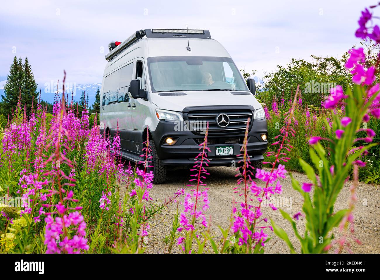 Femme senior conduisant Airstream Interstate 24X 4WD campervan ; Fireweed Wildflowers ; Eveline State Recreation Park ; Homer ; Alaska ; États-Unis Banque D'Images