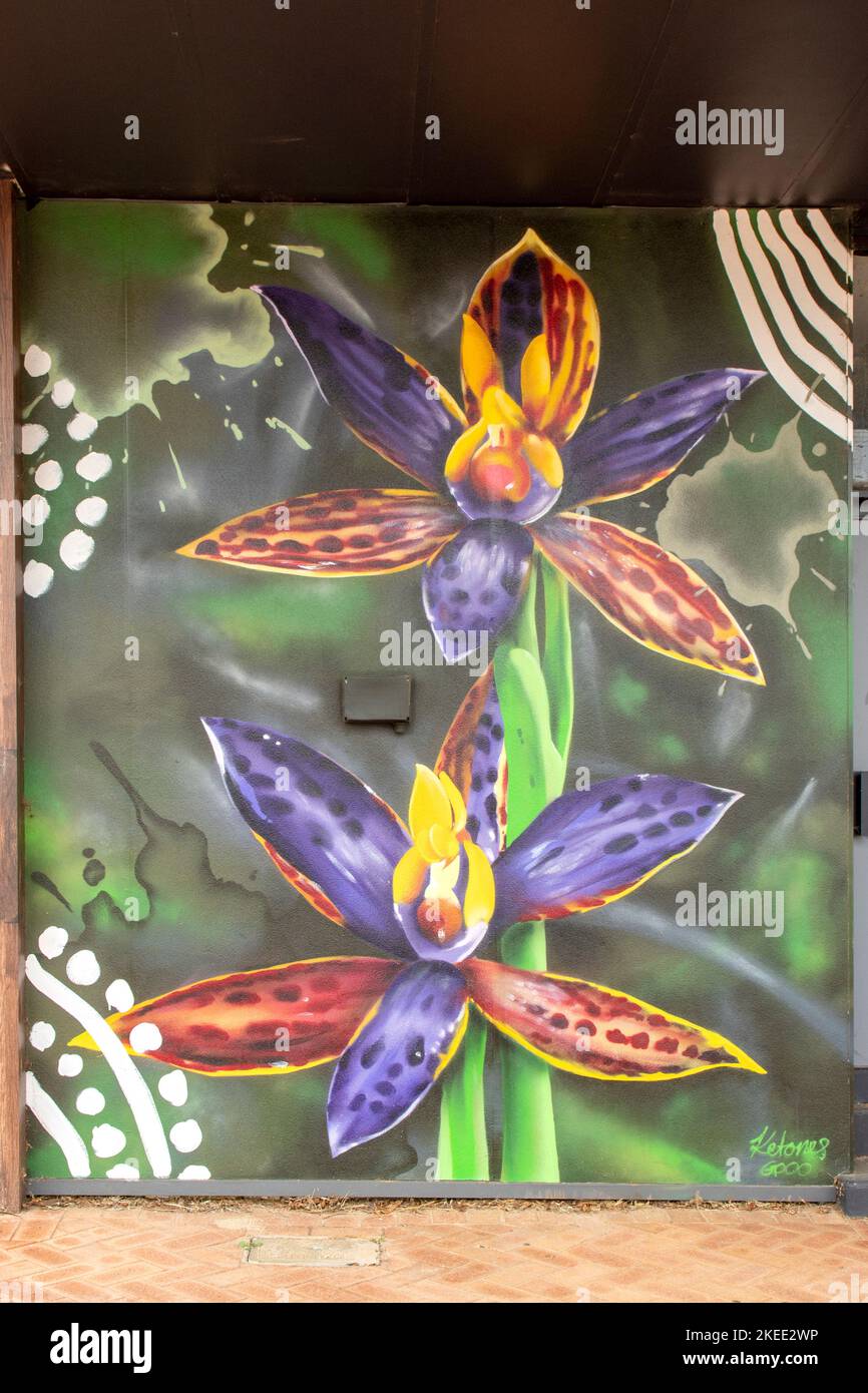 Queen of Sheba Orchid Street Art, Gnowangerup, WA, Australie Banque D'Images