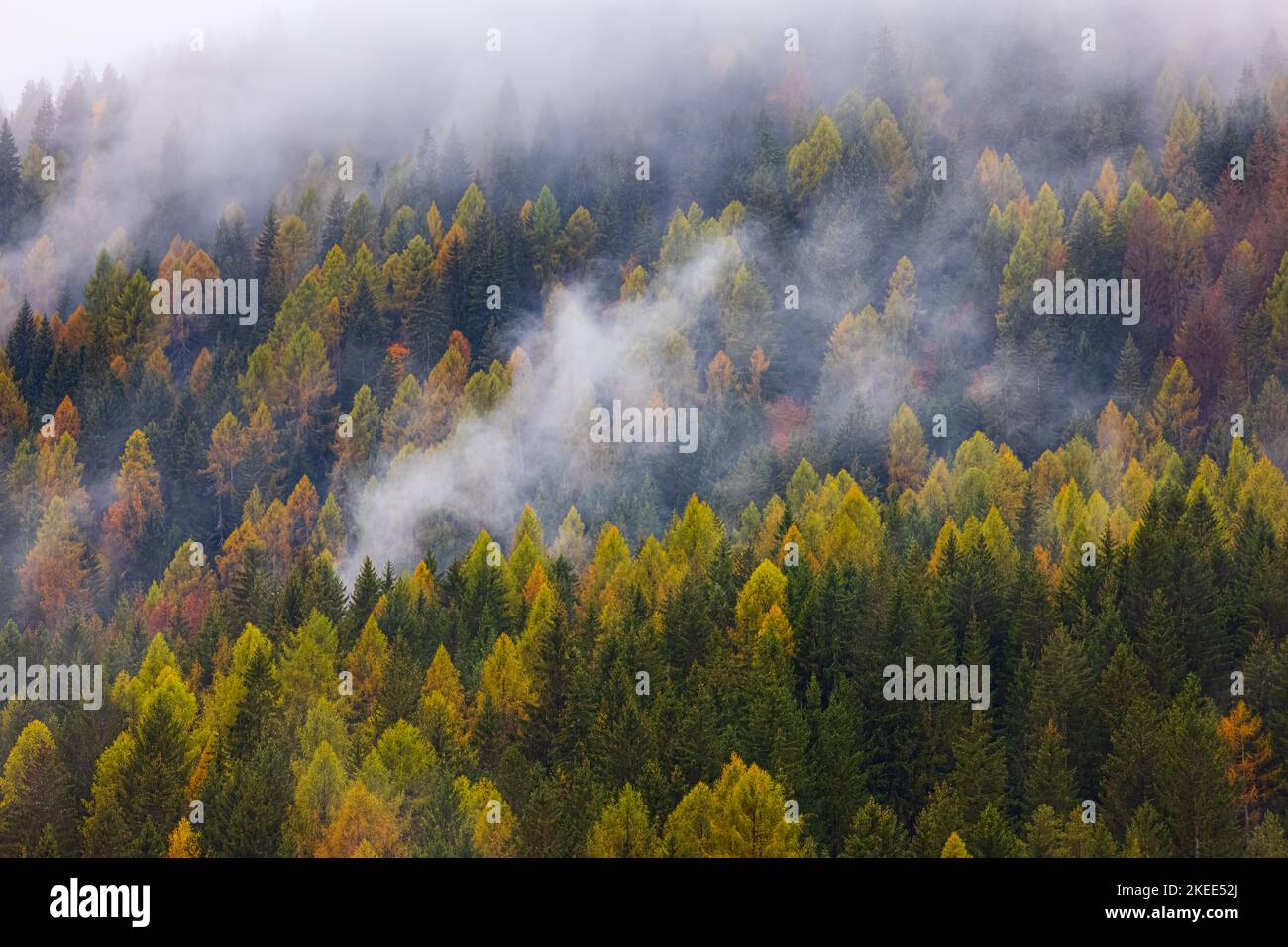Des nuages bas pendent entre les montagnes et les forêts avec les couleurs d'automne d'octobre entre Cortina d'Ampezzo et San Vito di Cadore, dans la province Banque D'Images