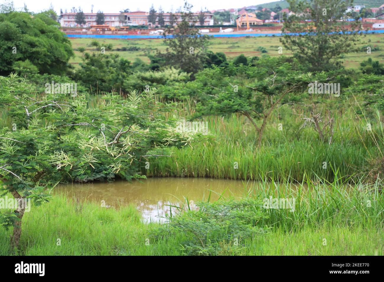 Kigali. 11th novembre 2022. Cette photo prise le 11 novembre 2022 montre une vue sur le village d'Umusambi, une zone humide restaurée, à Kigali, au Rwanda. La ville de Kigali a été accréditée jeudi par la Convention de Ramsar en tant que ville internationale des zones humides. Le Rwanda a actuellement un site désigné zones humides d'importance internationale, avec une superficie de 6 736 hectares. Credit: JI Li/Xinhua/Alay Live News Banque D'Images