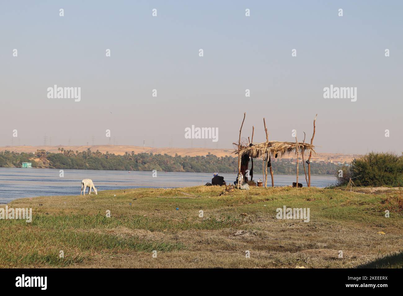 Magnifique paysage de la nature d'Assouan, Egypte Banque D'Images