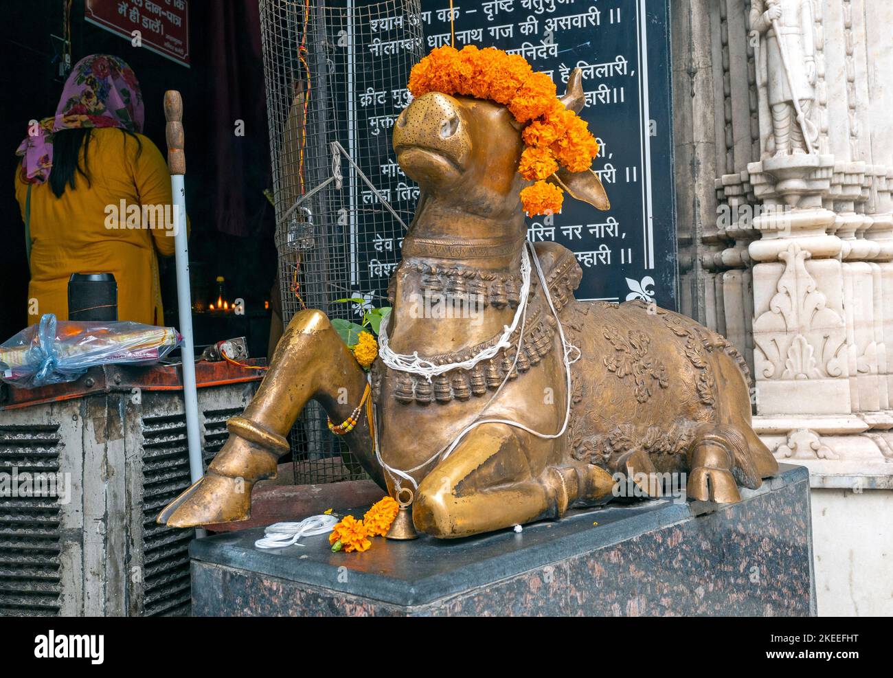 NEW DELHI - SEP 20 : statue en bronze de la vache Holly connue sous le nom de vache ou de taureau Nandi avec couronne de safran sur une tête devant le temple à New Delhi en septembre Banque D'Images