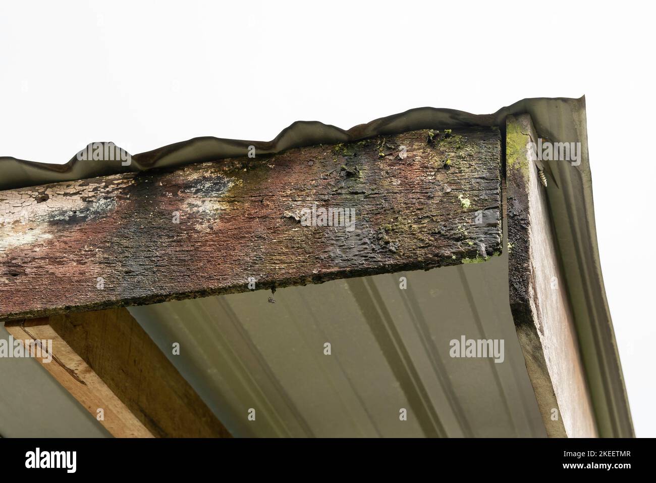 Vue rapprochée de la corrosion de la planche de toit en bois Banque D'Images