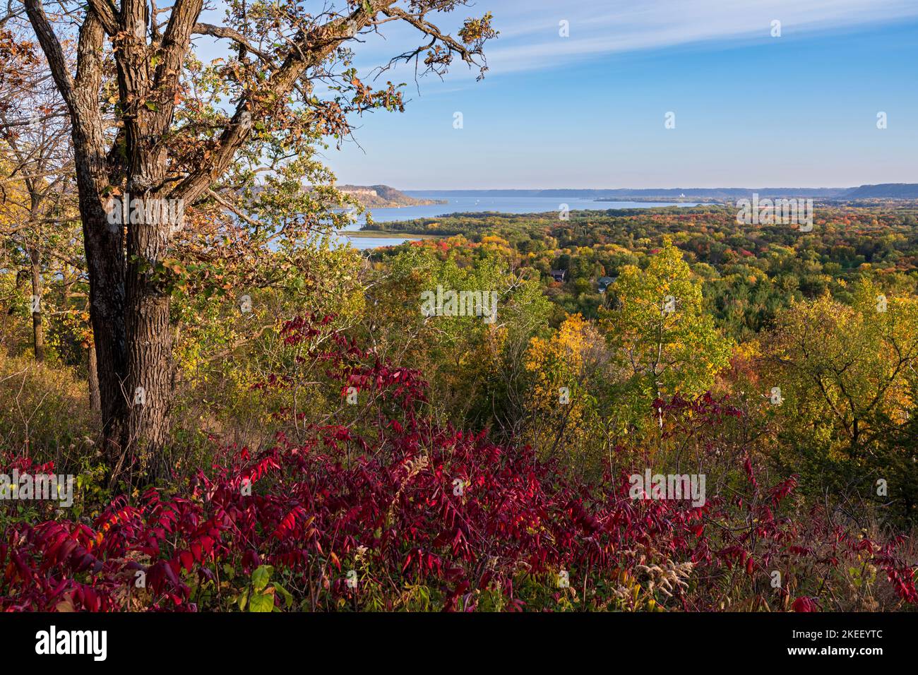 vue sur la vallée et le lac pepin depuis le parc national frontenac, minnesota, en automne Banque D'Images