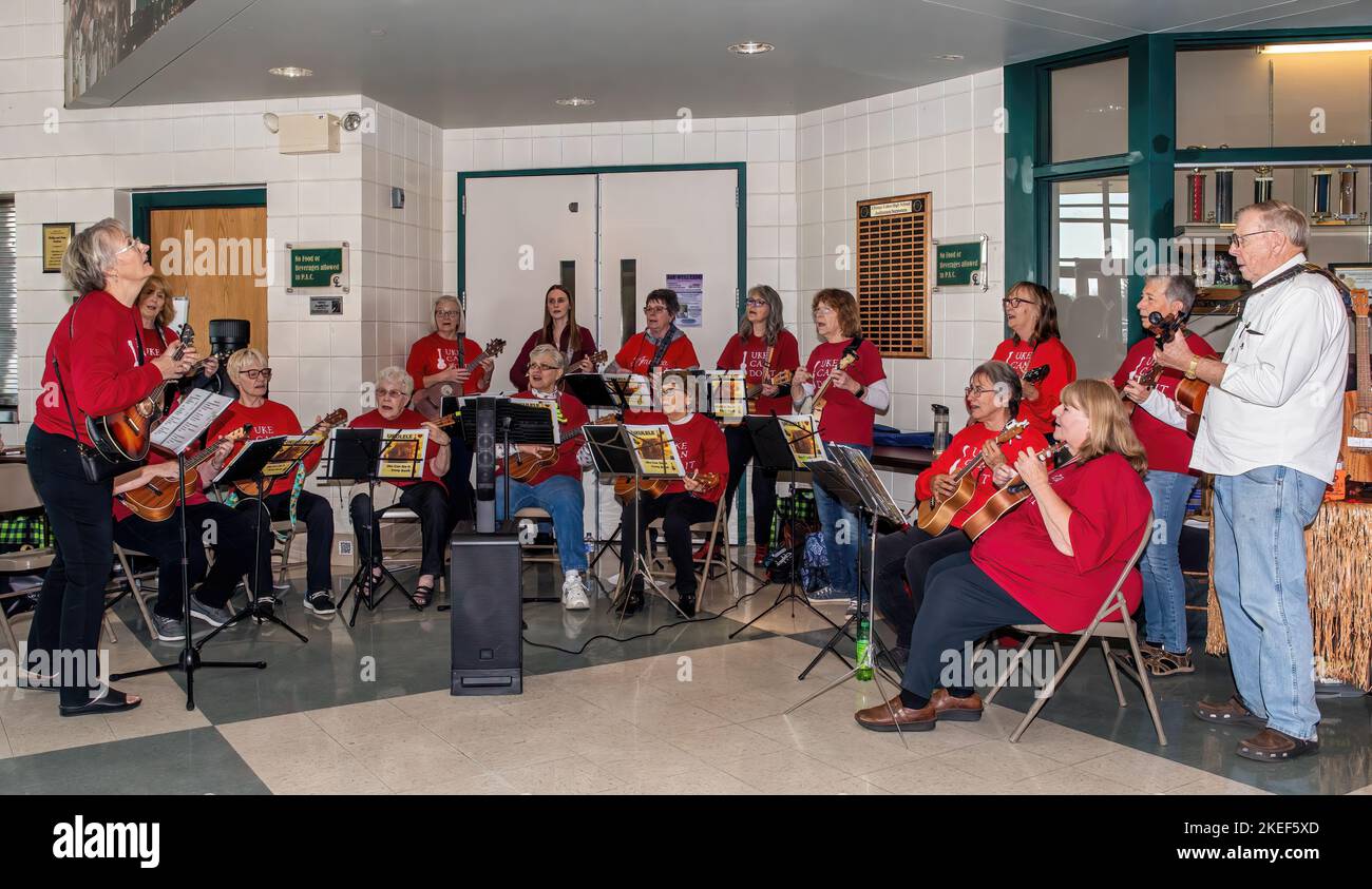 Le groupe ukulele se produit pour la Chisago Age Well Expo à la Chisago Lakes High School à Lindstrom, Minnesota, États-Unis. Banque D'Images