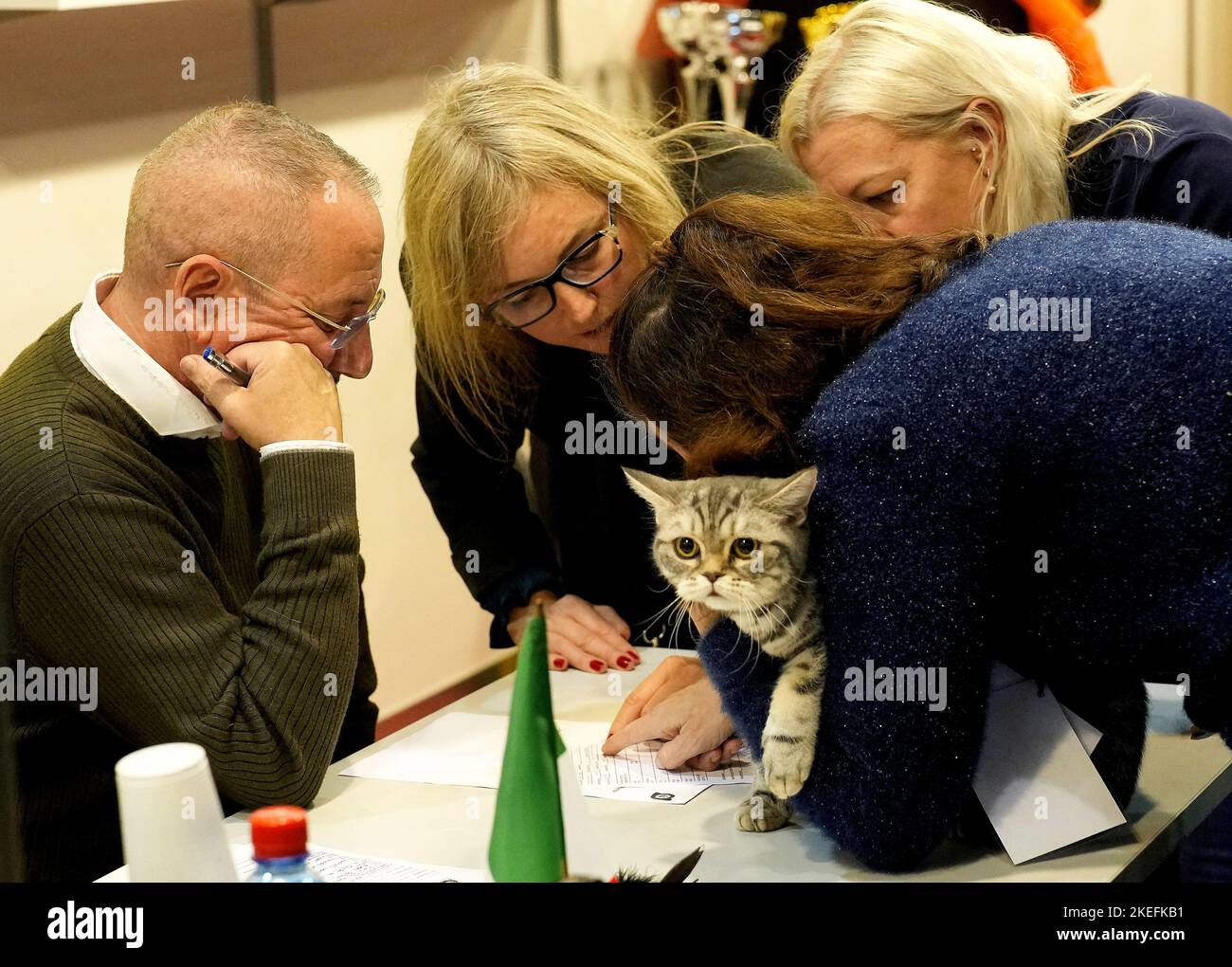 Un chat réagit pendant que les gens discutent lors du jugement à la foire internationale de l'industrie des animaux de compagnie Zoo Expo 2022 à Riga, Lettonie 12 novembre 2022. REUTERS/Ints Kalnins Banque D'Images