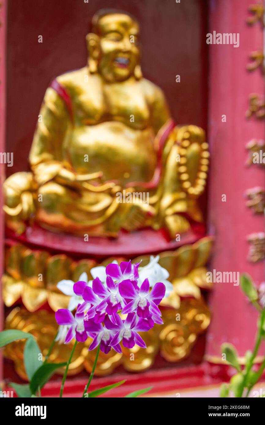 Viet Nam aka Vietnam, Ho Chi Minh ville aka Saigon. Temple chinois. Statue de Bouddha doré avec orchidées. Banque D'Images
