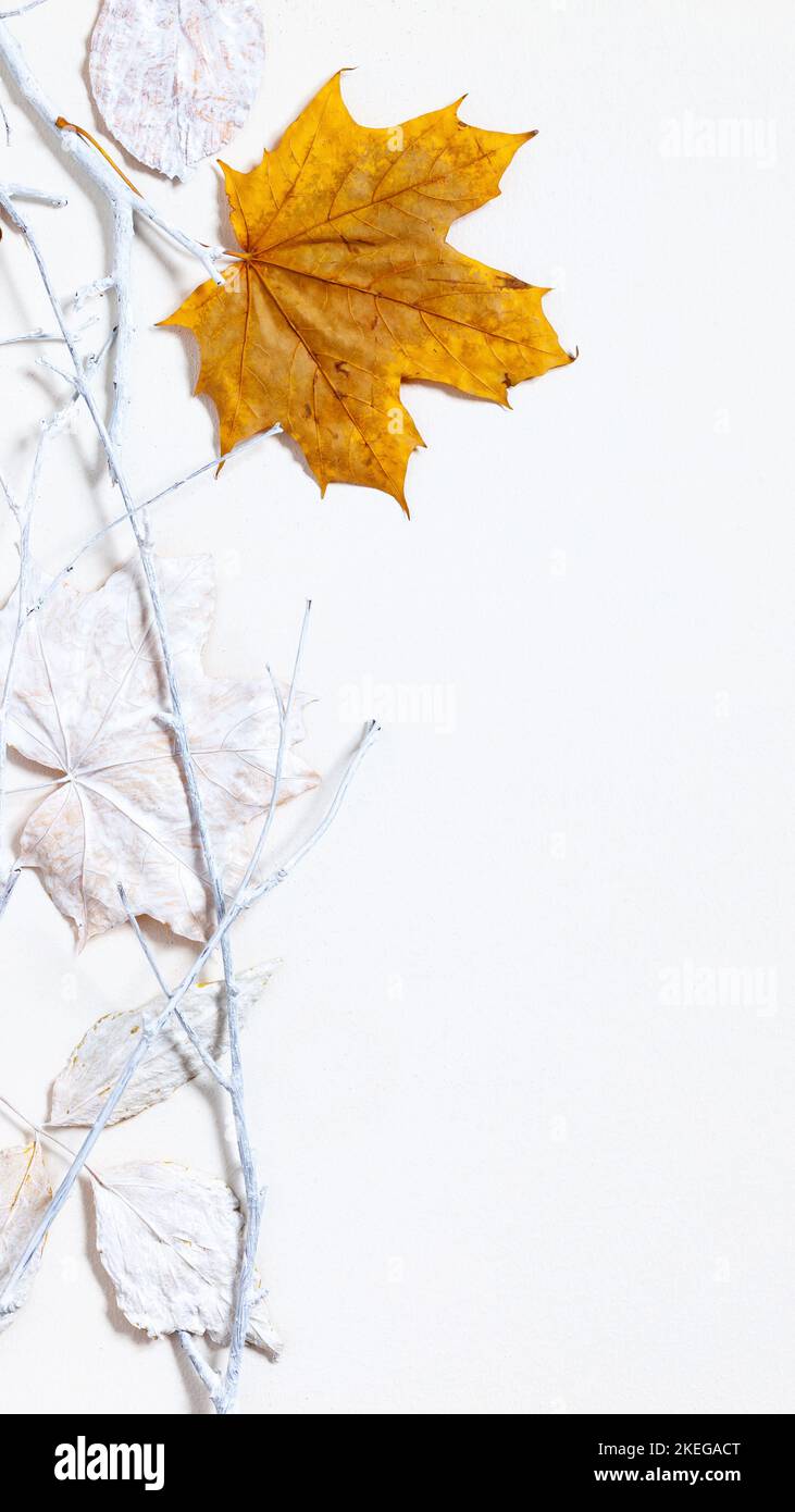 Composition avec feuilles d'automne sèches et brindilles sur fond blanc. Style scandinave plat encore vie avec espace de copie Banque D'Images