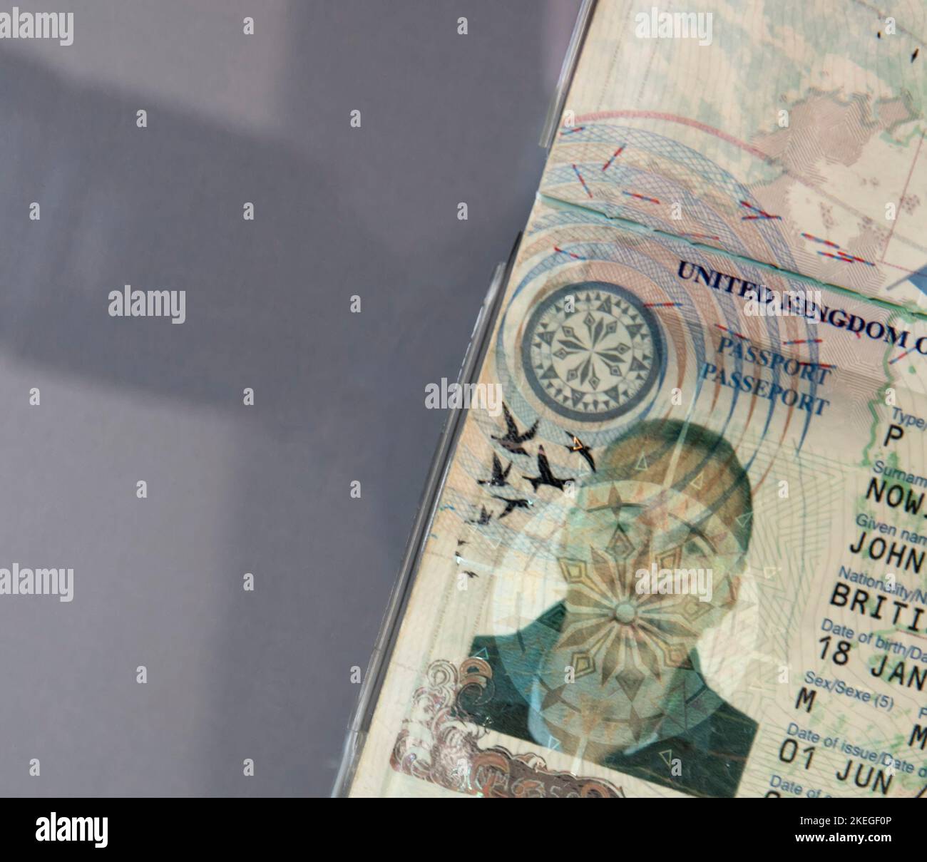 Photo passeport avec espace de copie Banque D'Images
