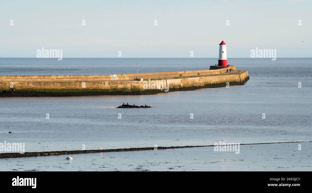 La jetée et le phare de Berwick Upon Tweed, Northumberland, Angleterre, Royaume-Uni Banque D'Images