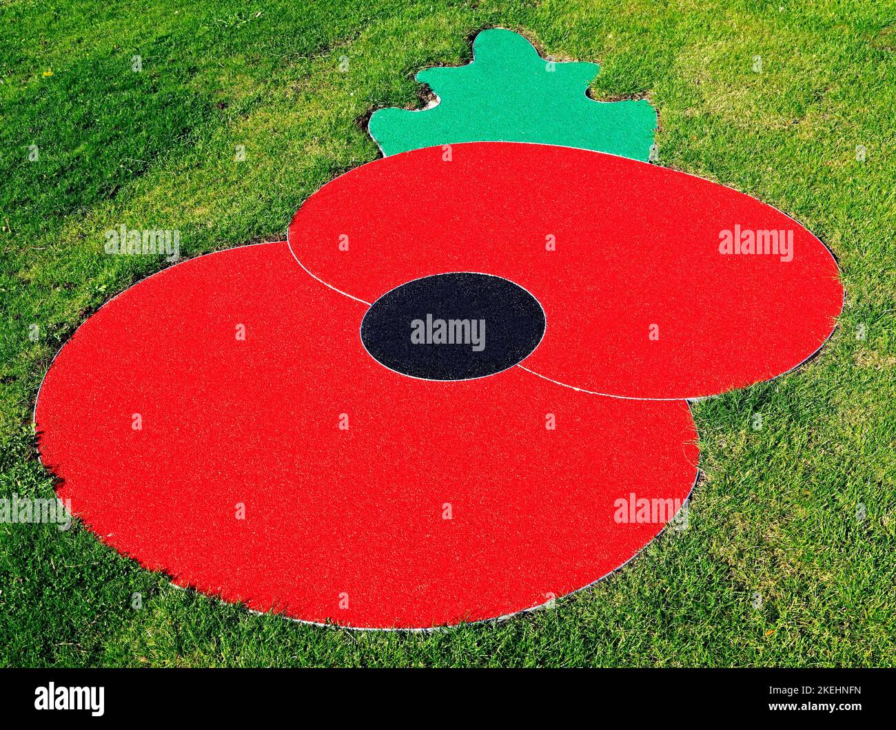 Coquelicot du jour du souvenir, logo, symbole, ensemble en gazon, pelouse, Grass, Hunstanton, Norfolk, Angleterre, Royaume-Uni Banque D'Images