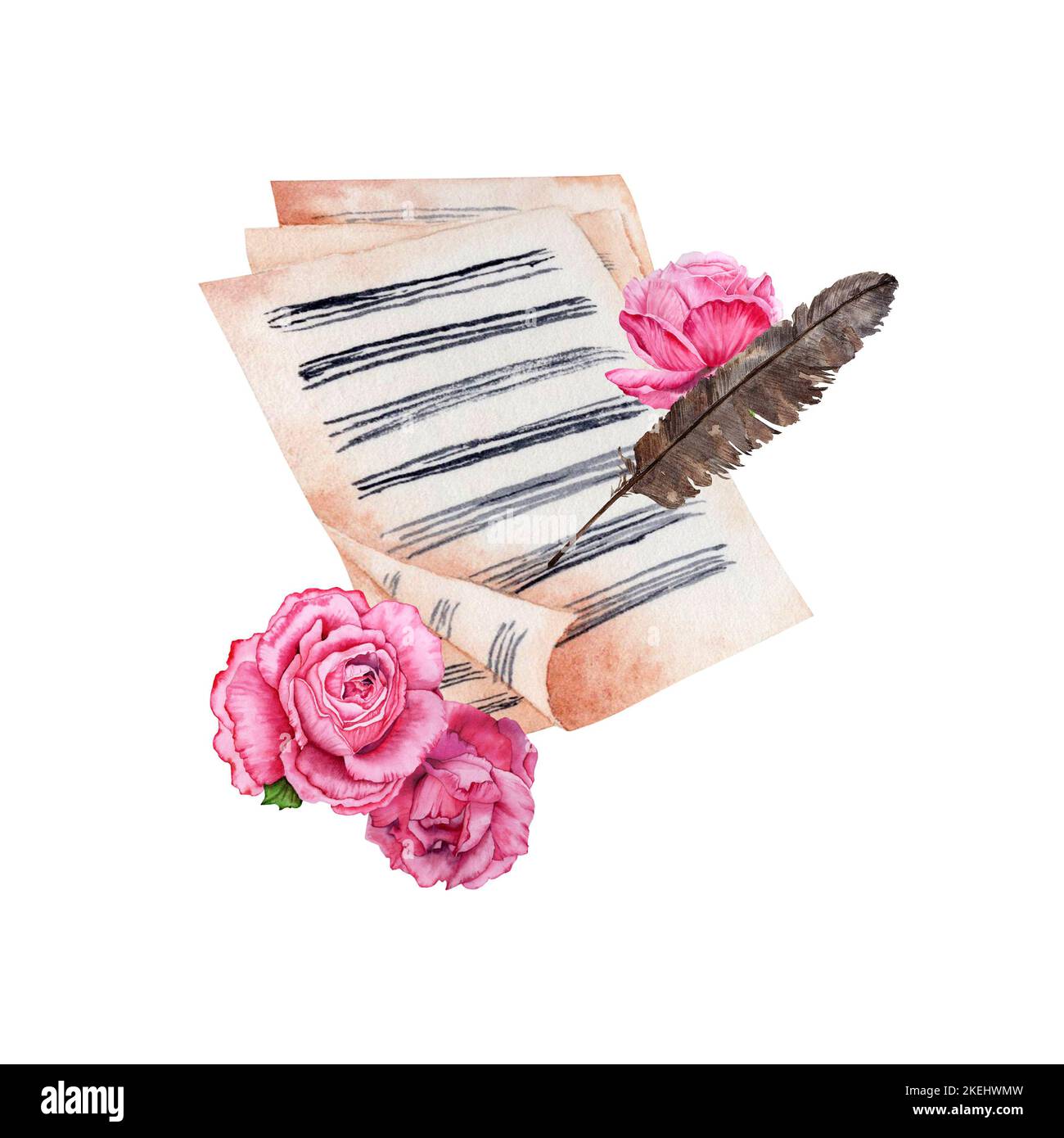 Partitions décorées de roses roses roses et d'une illustration aquarelle Quill sur fond blanc. Pour cartes, invitations, programmes musicaux, prospectus, cadeaux. Banque D'Images