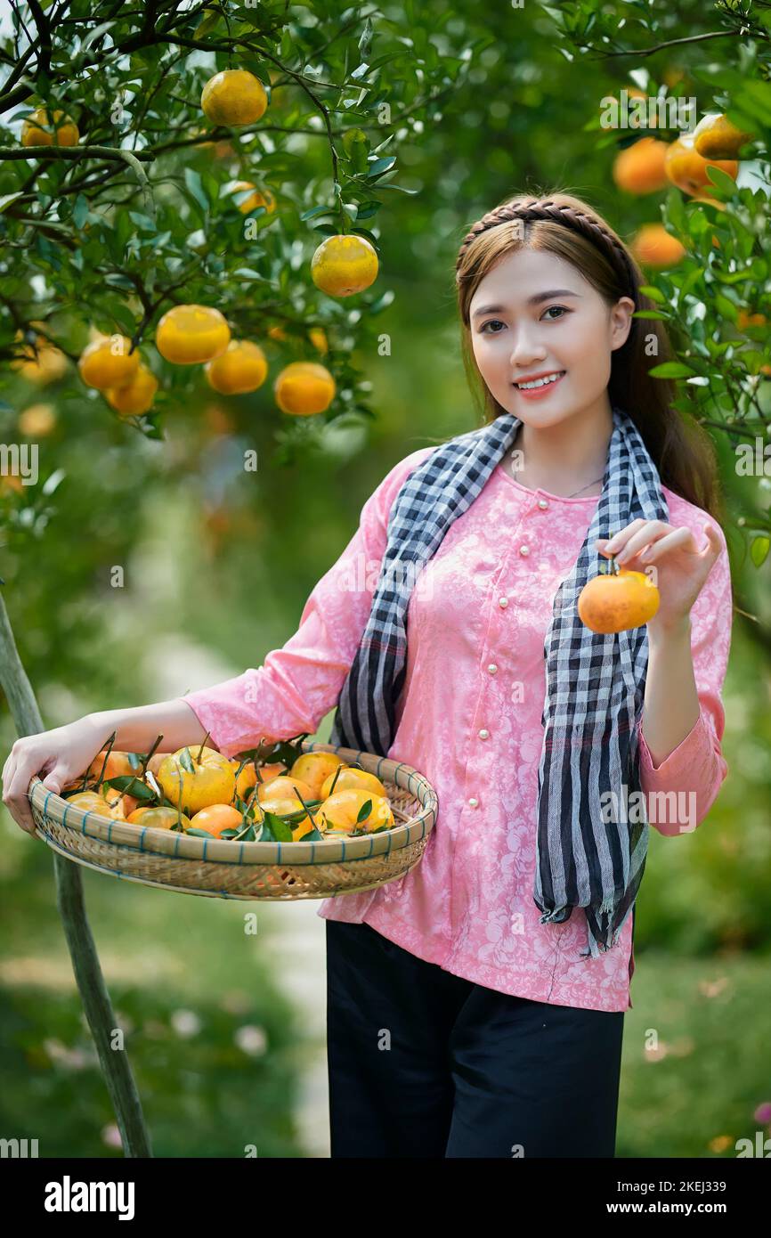 Sa Dec ville, Vietnam: Portrait de fille occidentale dans un jardin mûr de mandarine Banque D'Images