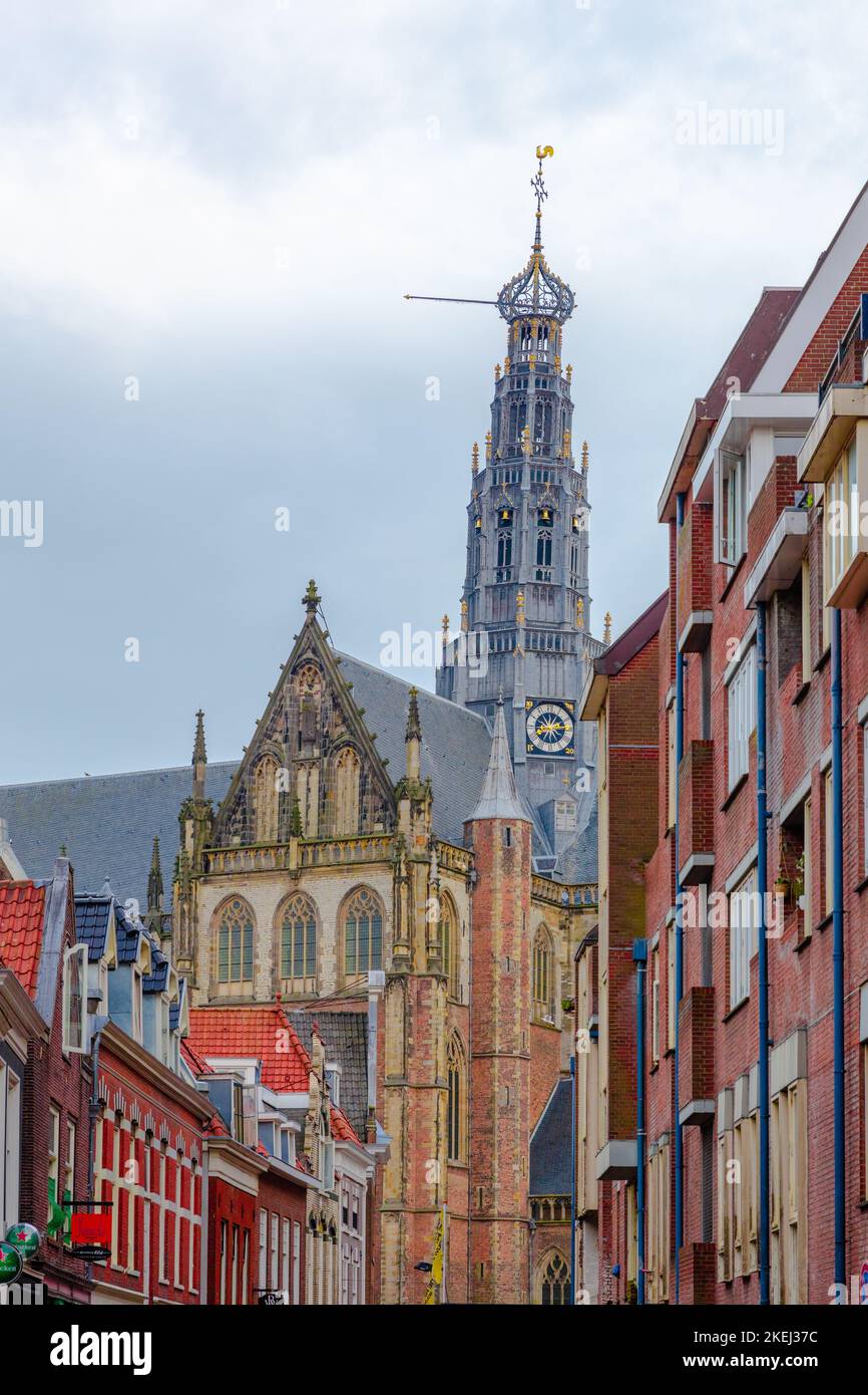 De Grote Kerk ou St. Bavokerk, une église protestante, sur la Grote Markt, Haarlem, pays-Bas Banque D'Images