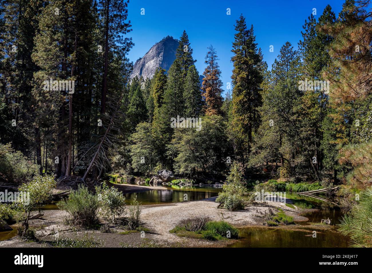 Paysage sauvage pittoresque dans le parc naturel de Yosemite, Californie Banque D'Images