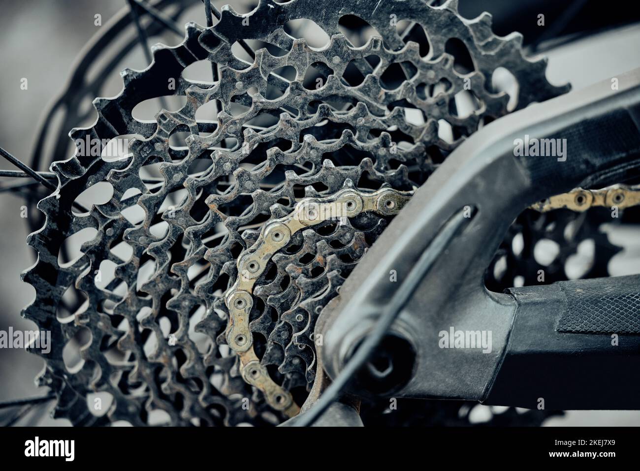 Écran De La Chaîne De Vélos - Noir 38 Dents Auto-support Peu D'entretien HEBIE