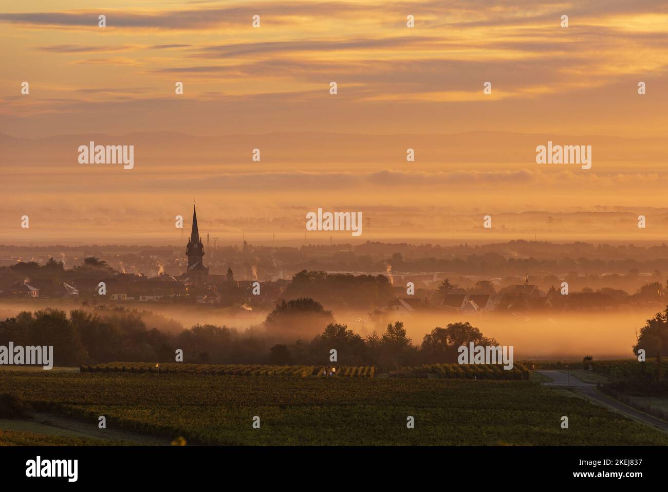 France. Alsace. Bas-Rhin (67) le village de Bernardswiller dans la brume en automne, au coeur du vignoble d'Affenberg Banque D'Images