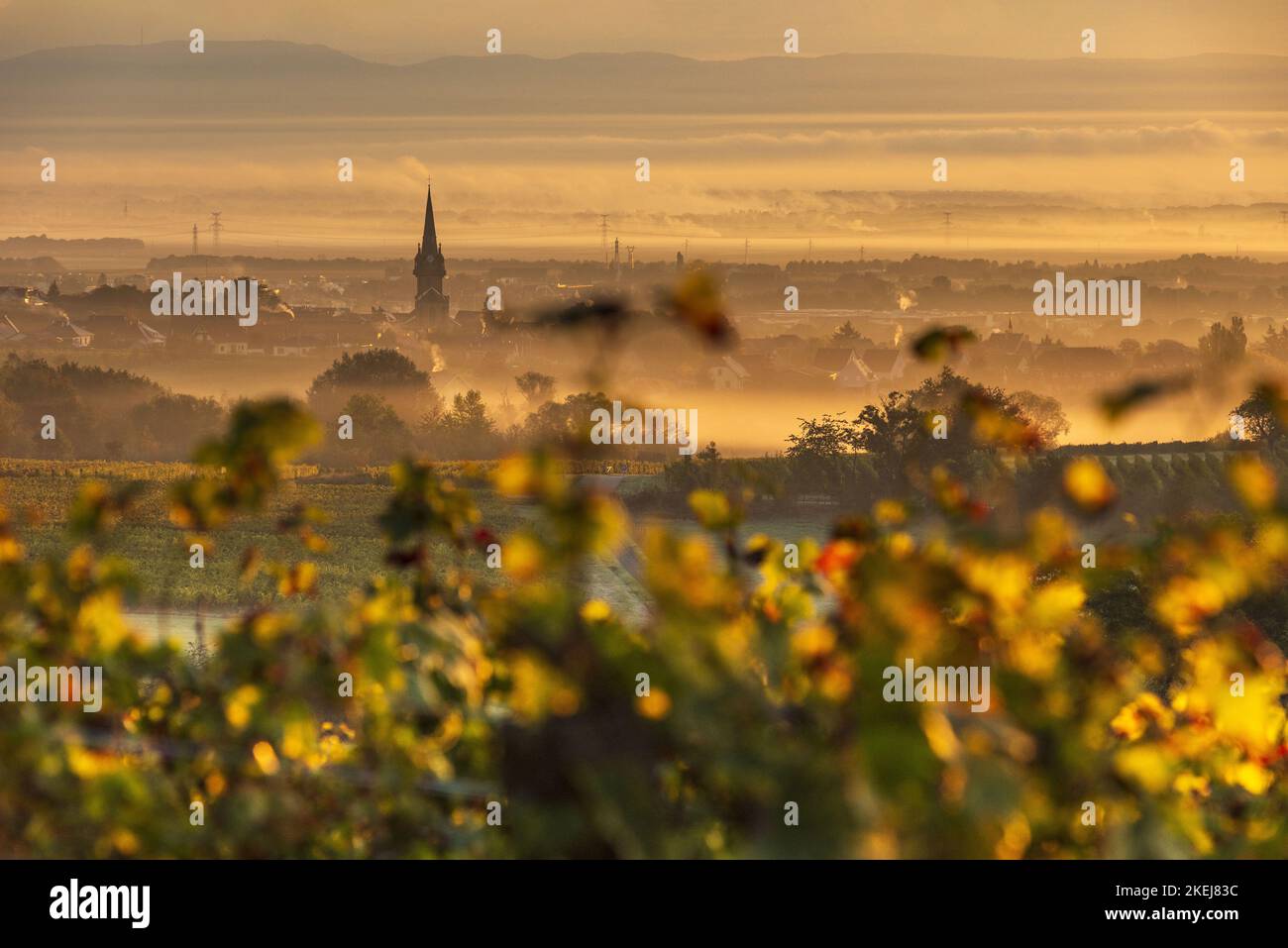 France. Alsace. Bas-Rhin (67) le village de Bernardswiller dans la brume en automne, au coeur du vignoble d'Affenberg Banque D'Images