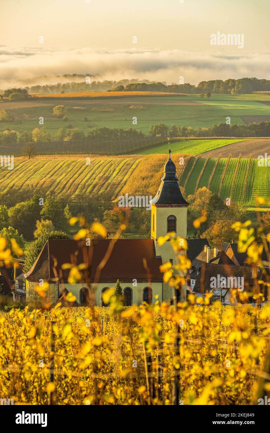 FRANCE, Alsace, Bas-Rhin (67), Parc naturel régional des Vosges du Nord, vignoble de Rott en automne et église Saint-Georges Banque D'Images