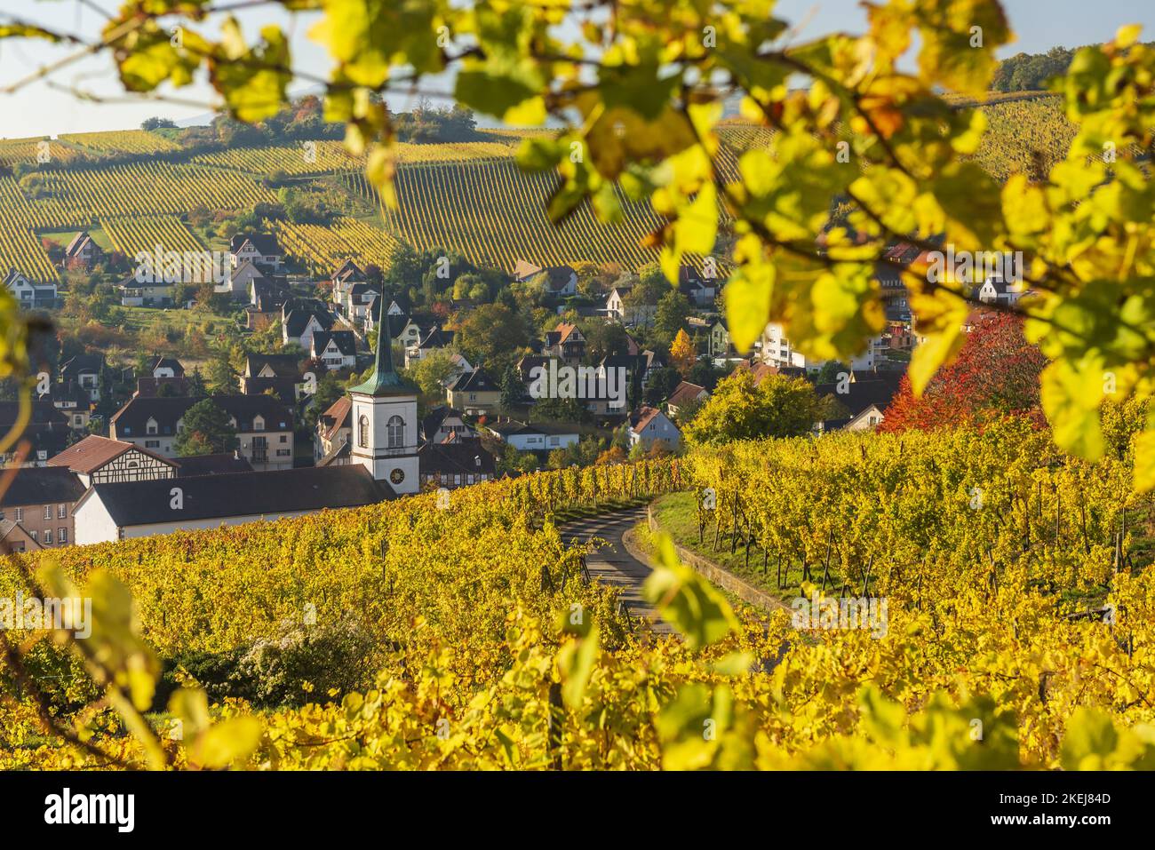 France. Alsace. Haut-Rhin (68) le village de Barr en automne au coeur du vignoble de Kirchberg Banque D'Images