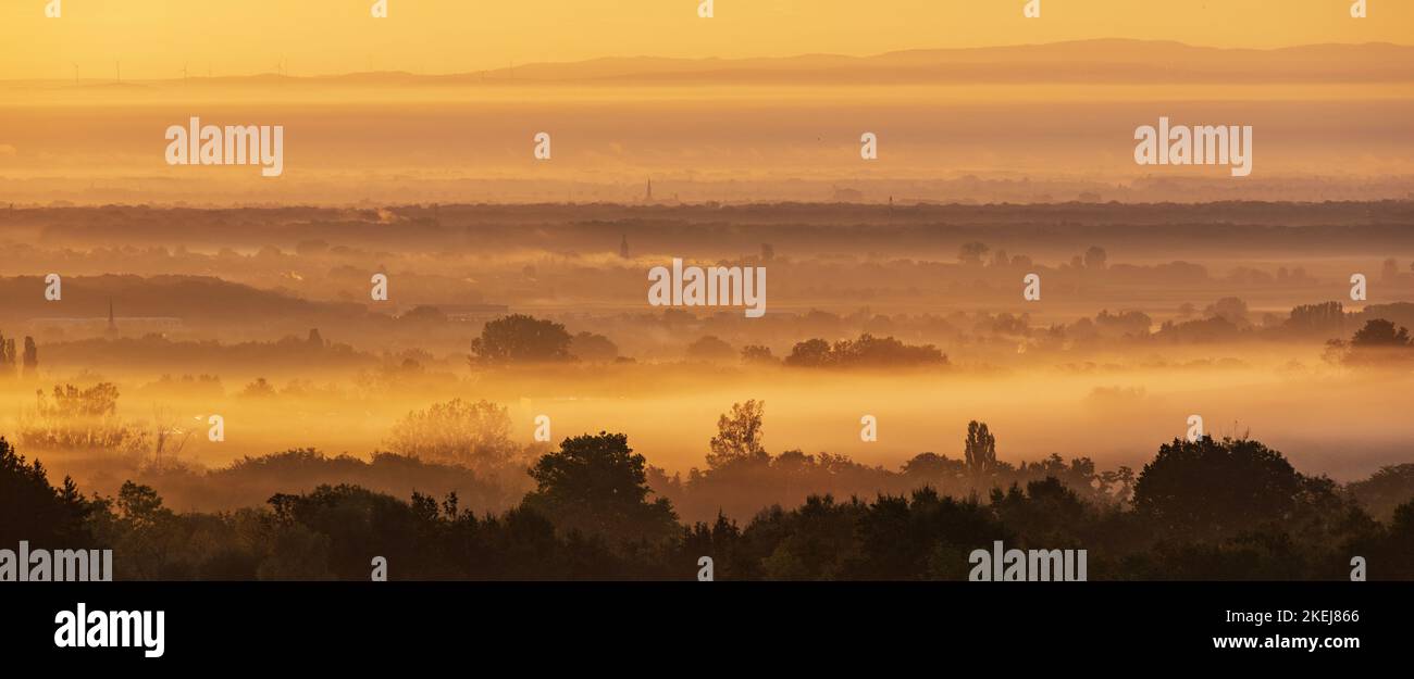FRANCE, Alsace, Bas-Rhin (67), plaine d'Alsace dans la brume en automne vue du vignoble Bernardswiller Banque D'Images