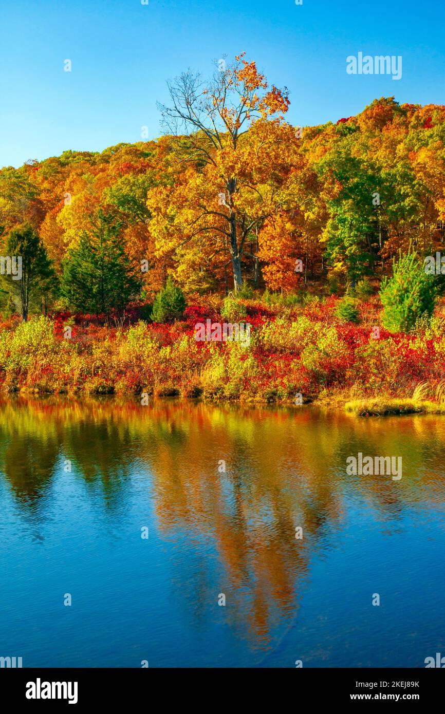 Le lac Blue Mountain, dans le New Jersey, juste à côté de la piste Appalachian, faisait autrefois partie de la communauté Blue Mountain Lakes, un tr de dix mille acres au sommet d'une montagne Banque D'Images