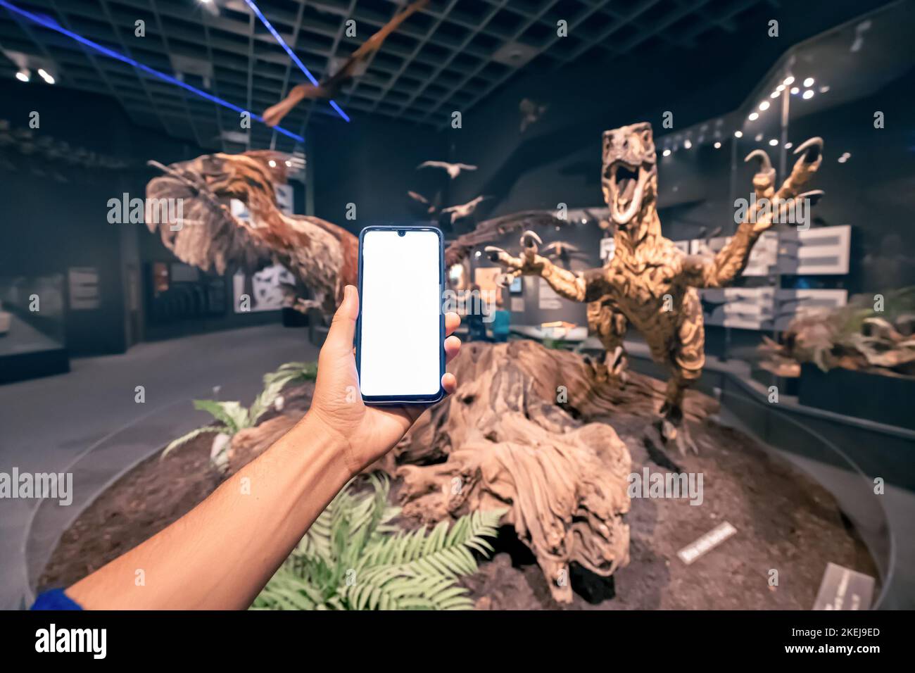 26 juillet 2022, Munster Natural History Museum, Allemagne: Main de visiteur avec écran de smartphone vierge à l'exposition de dinosaure terrifiant à plumes Banque D'Images