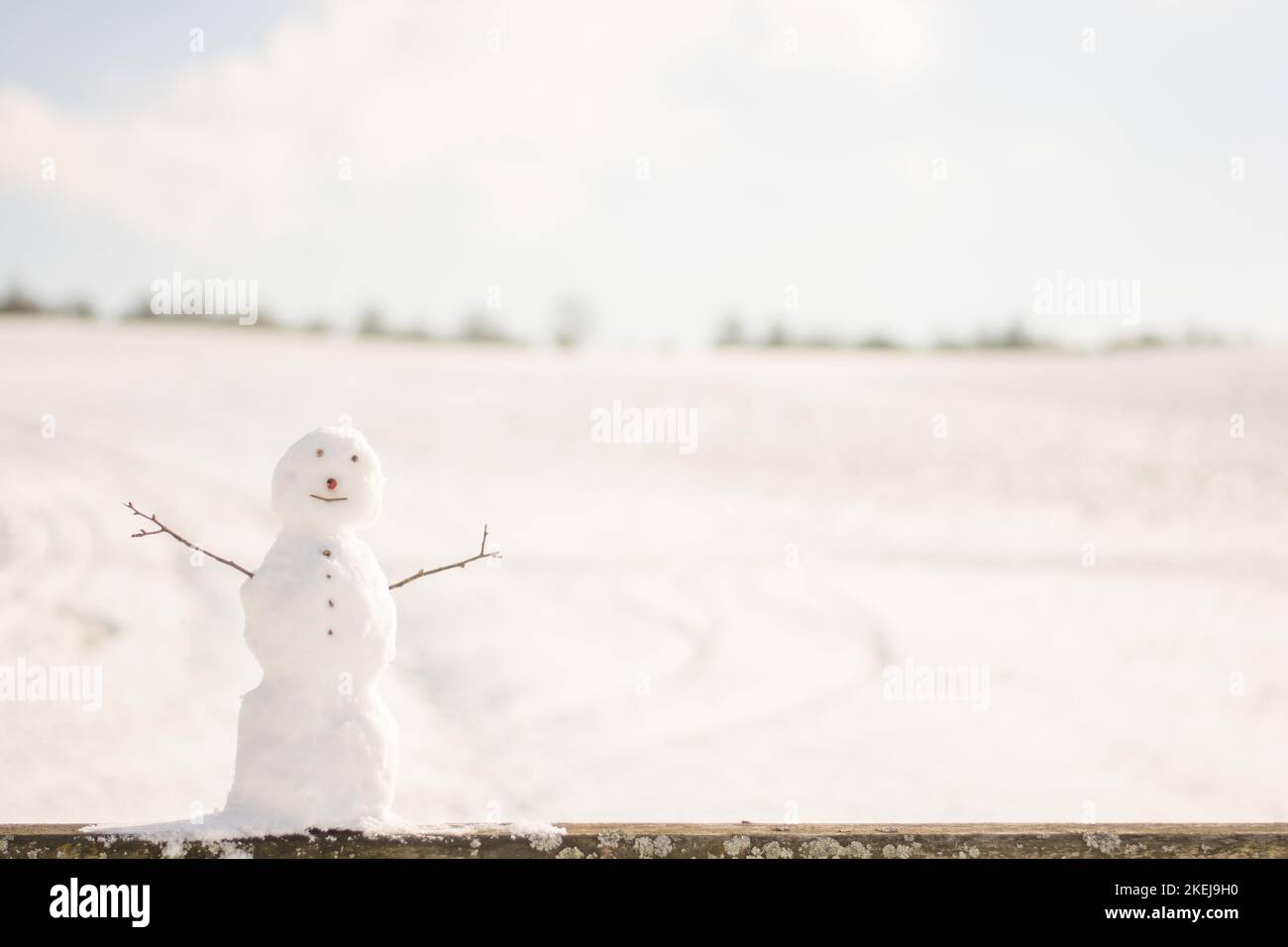 bonhomme de neige sur fond de bokeh enneigé Banque D'Images