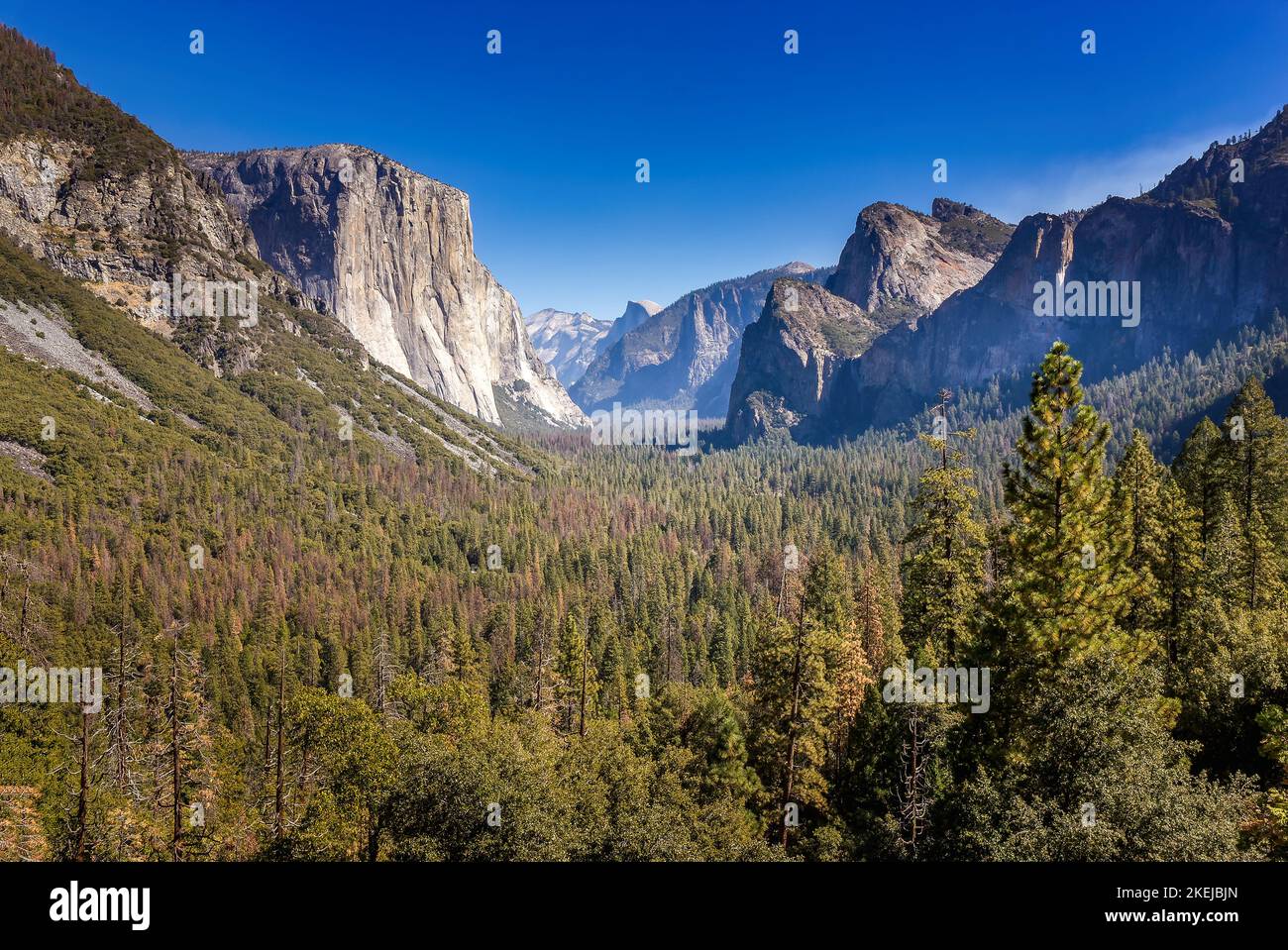 La vallée de Yosemite avec El Capitan dans le parc national de Yosemite, Californie Banque D'Images