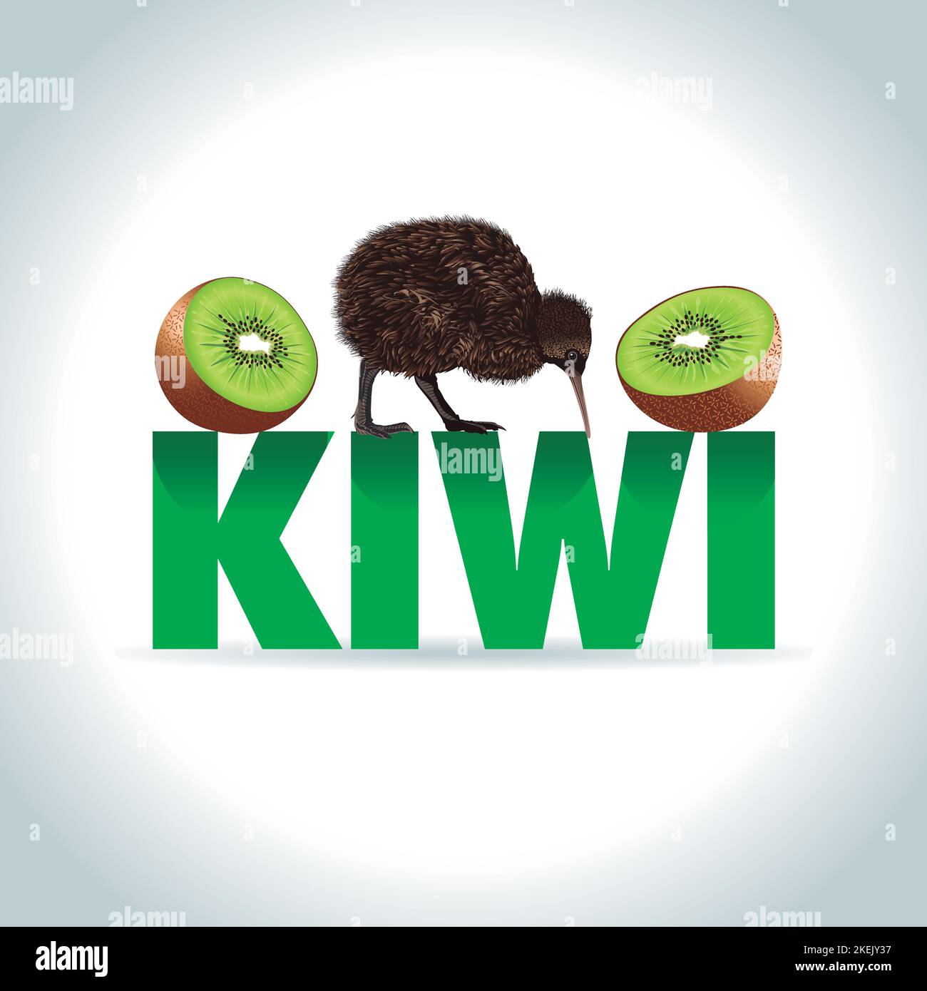 Illustration kiwi dessin animé animal et fruit, oiseau de Nouvelle-zélande Illustration de Vecteur