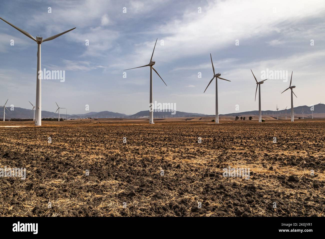 Ferme éolienne entre les champs en Espagne Banque D'Images