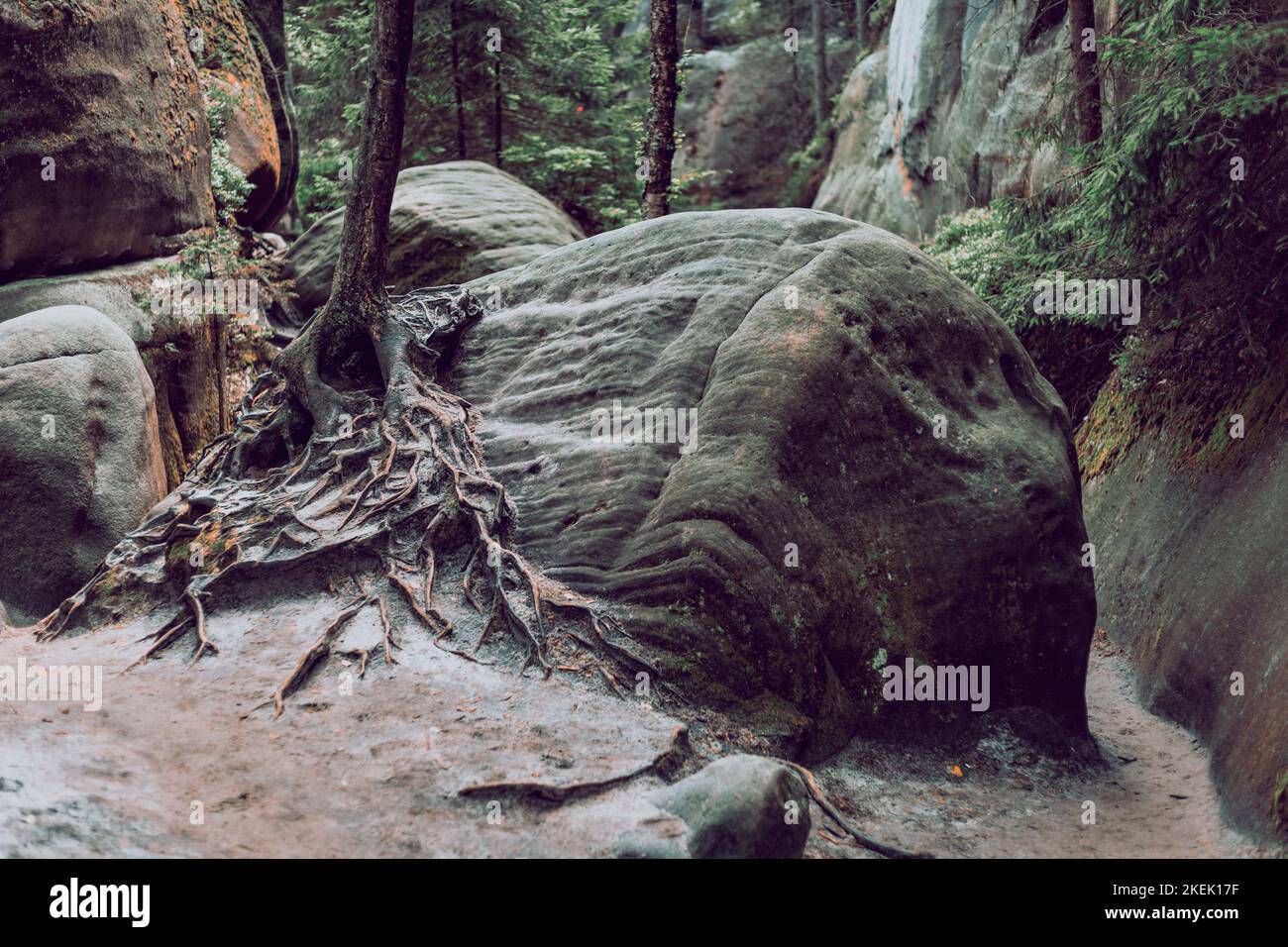 rock sur le sentier de montagne Banque D'Images