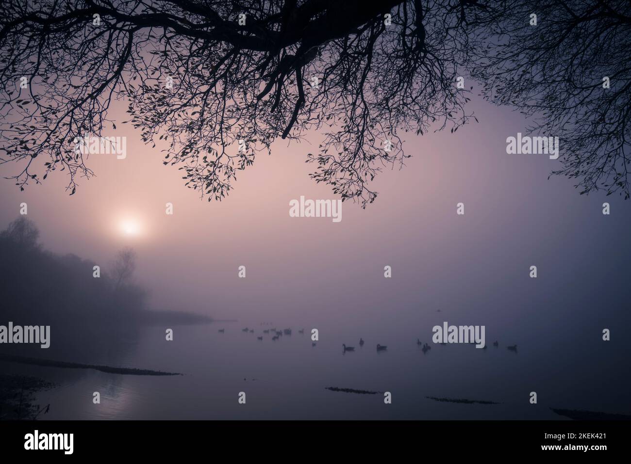 Brume automnale tôt le matin au-dessus de Derwentwater en novembre 2022. Banque D'Images